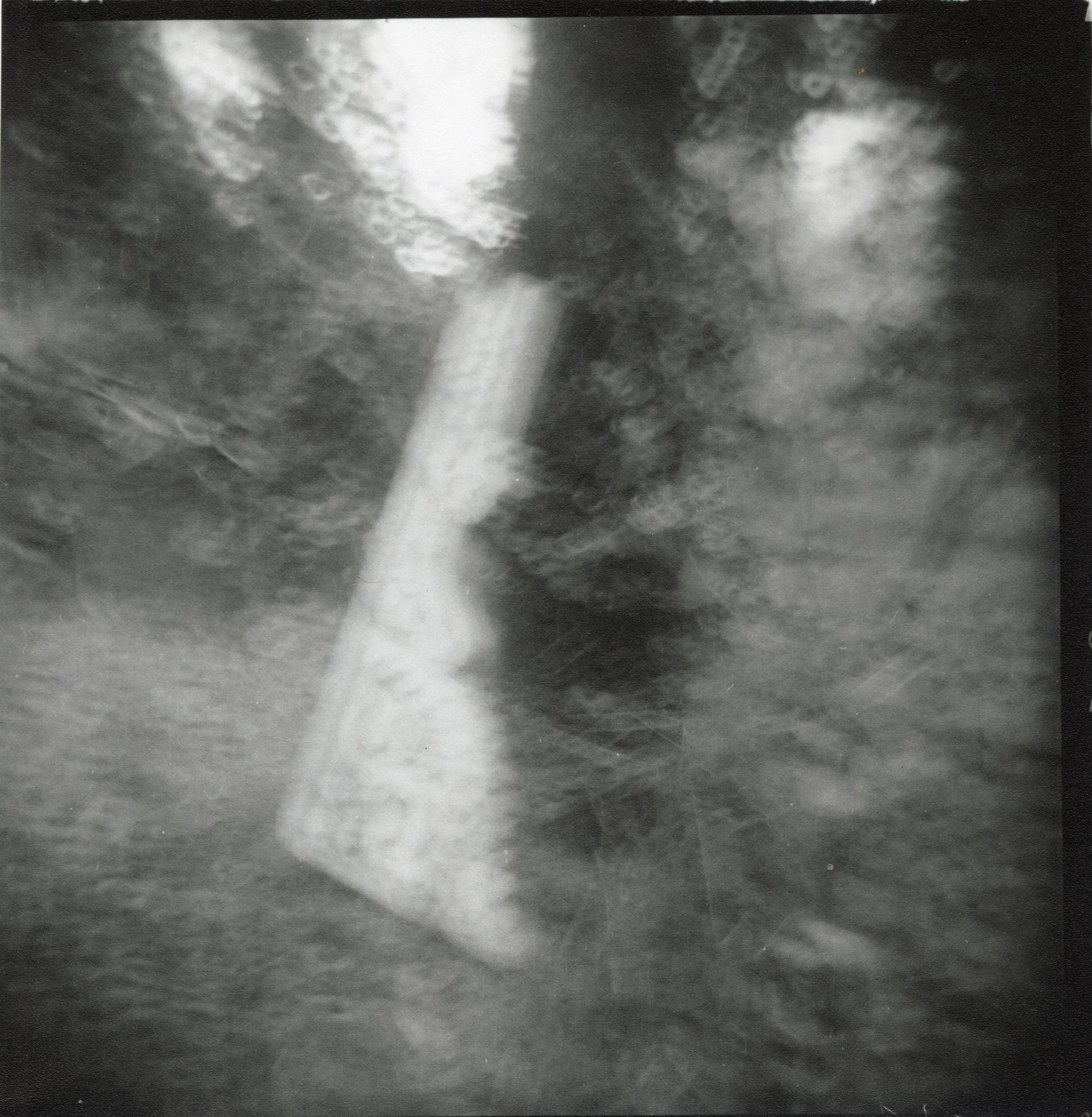 Corbel, 2017. Gelatin-Silver Print