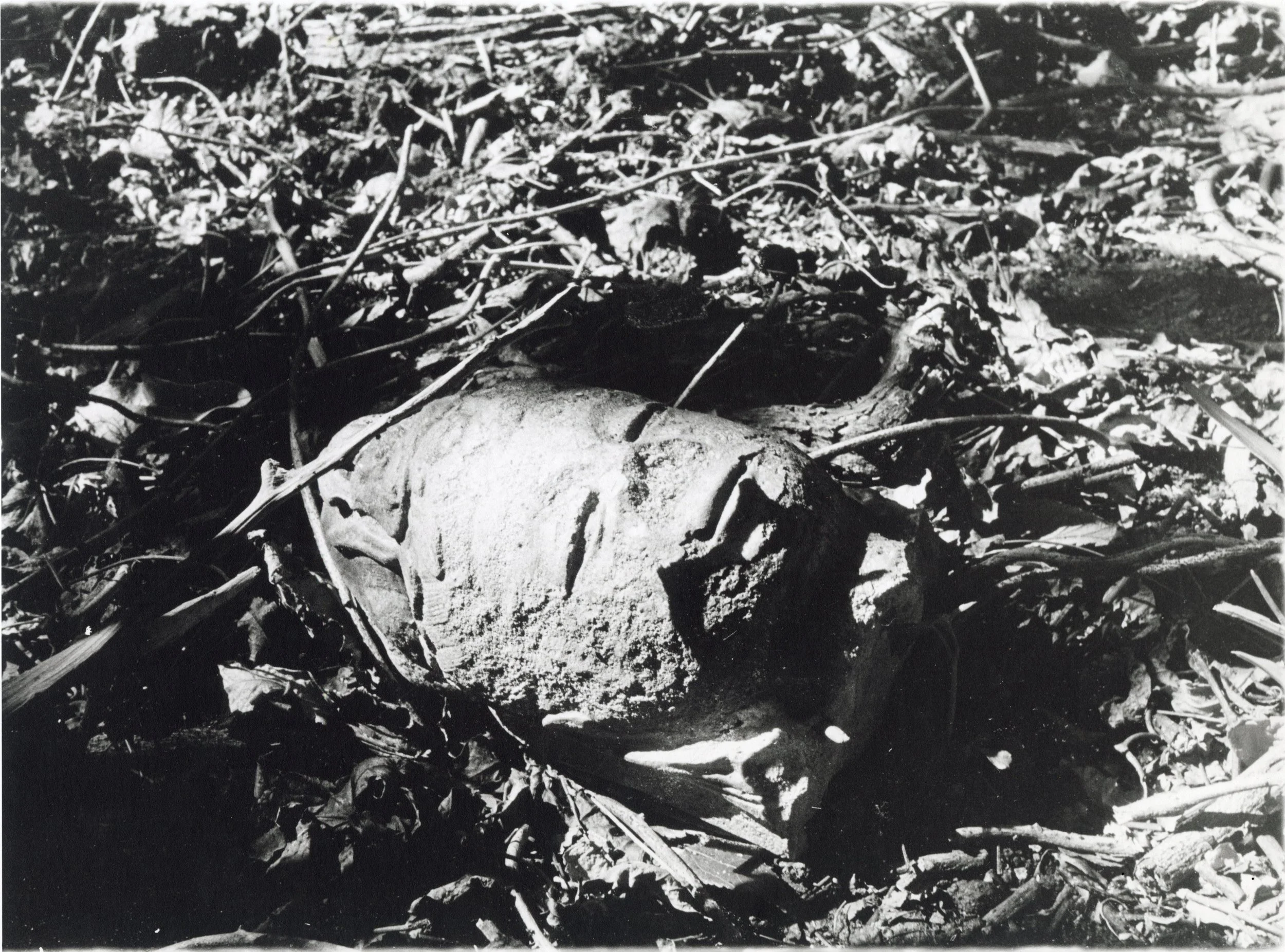 Kuan-Yin Dismembered, 2020. Gelatin-Silver Print