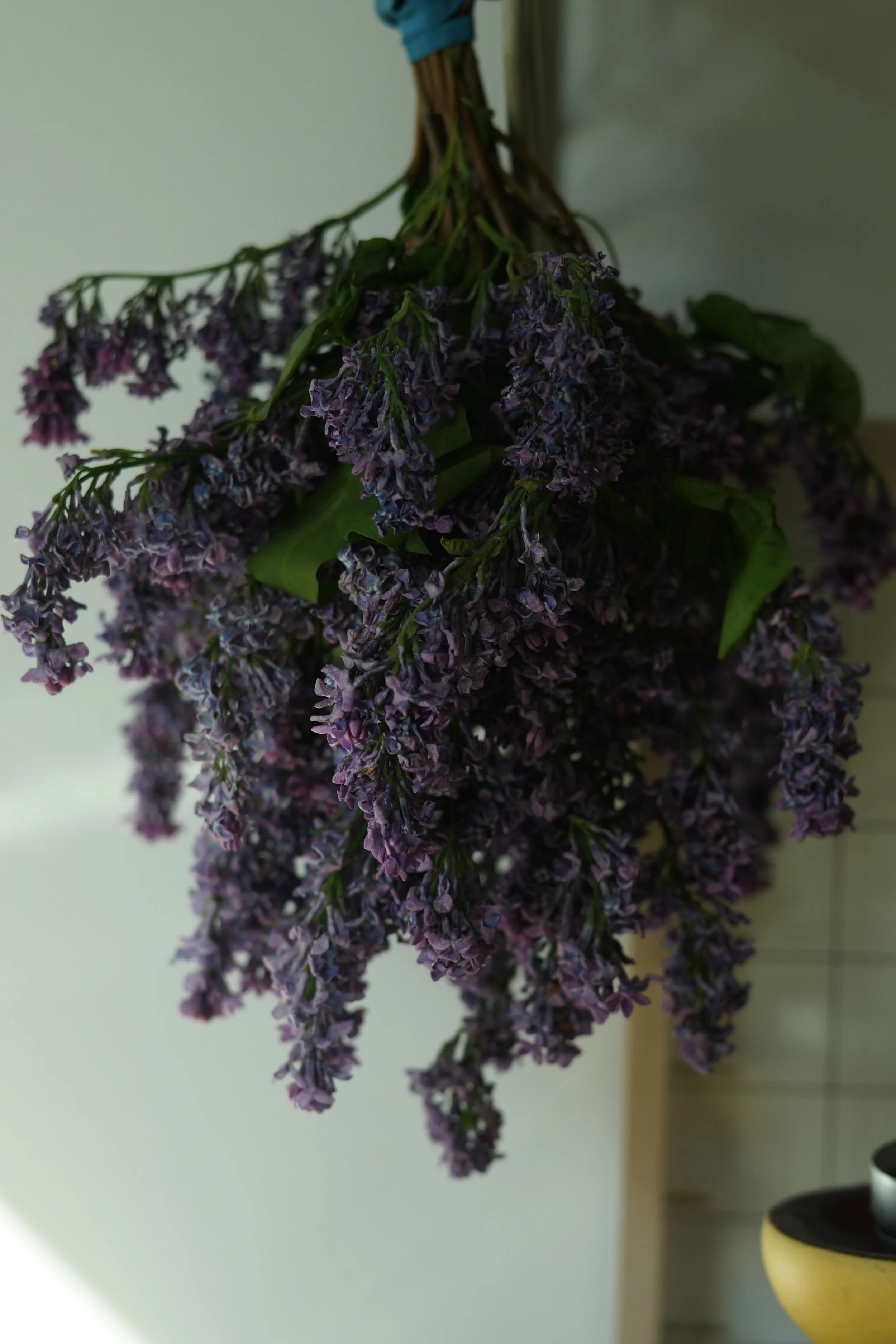 DSC07959.JPG