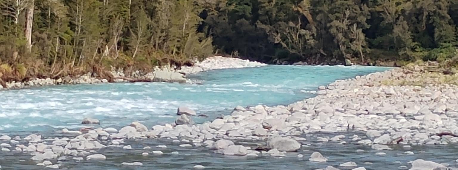 A river with light blue water flowing through a rocky terrain surrounded by dense green trees and bushy vegetation.