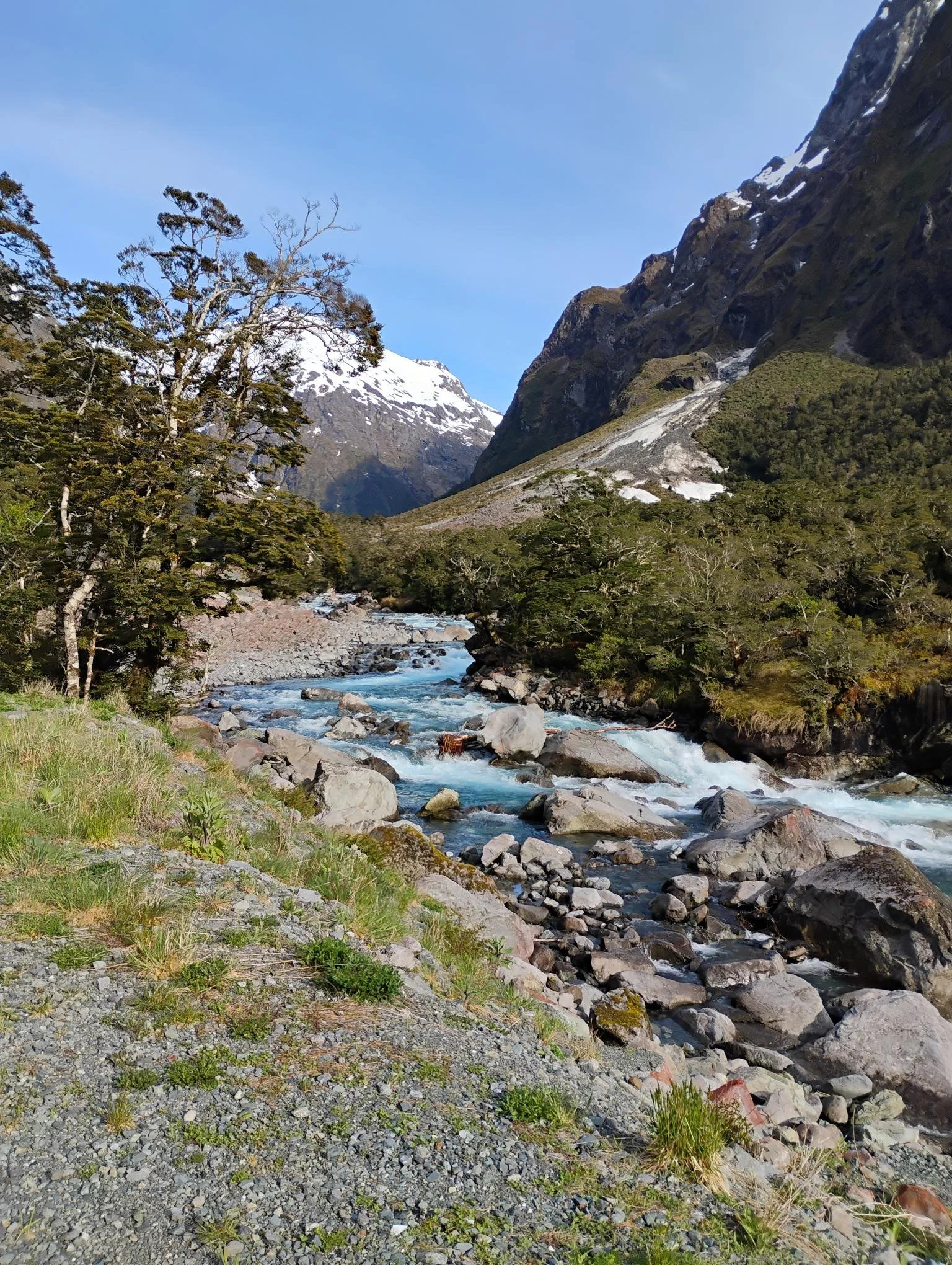 A scenic mountain landscape featuring a flowing river, rocky banks, dense green trees, snow-capped mountain peaks, and a clear blue sky.