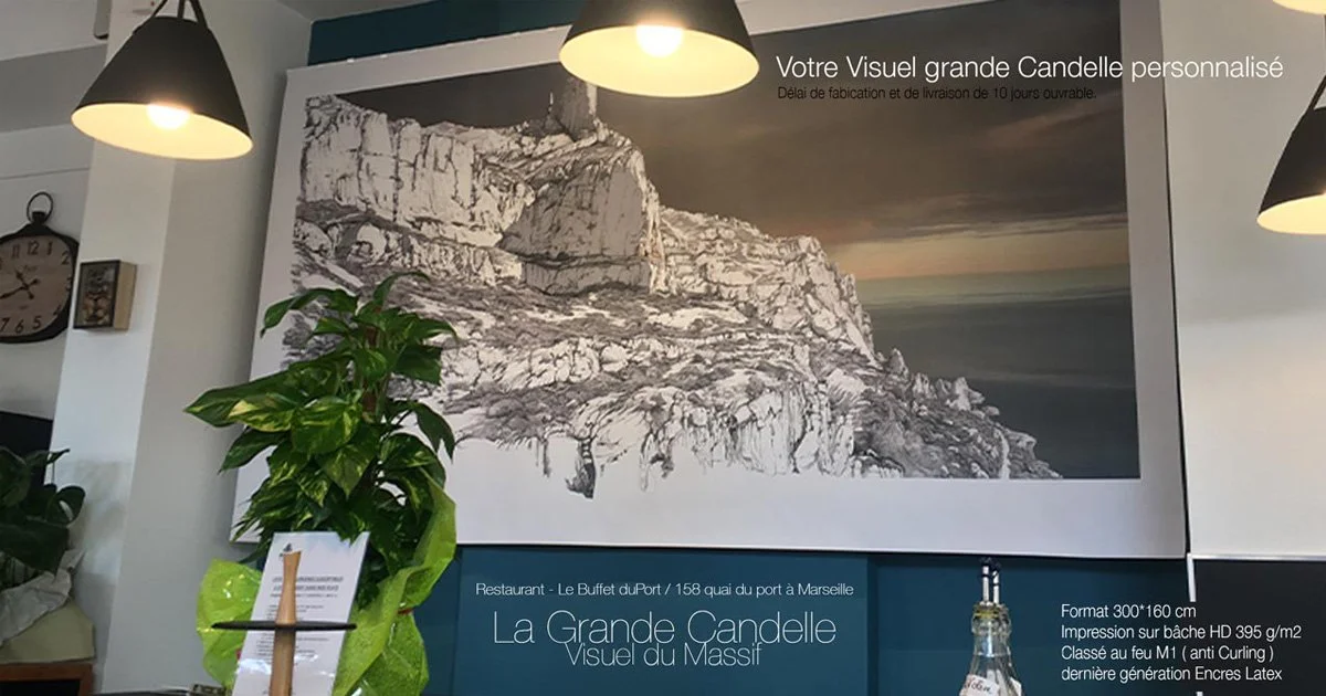 GR-D-VISUEL IN SITU.jpg