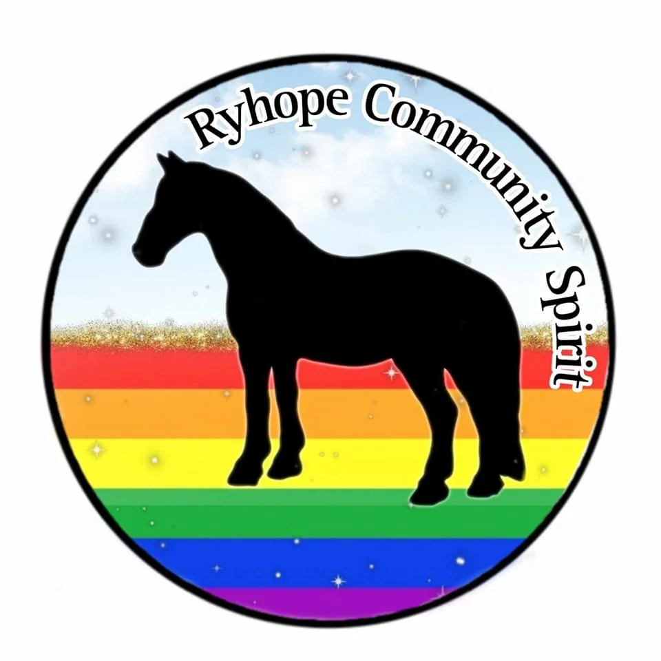Logo for Ryope Community Spirit featuring a black horse silhouette on a rainbow-colored background with a starry sky and the text 'Ryope Community Spirit' around the top.