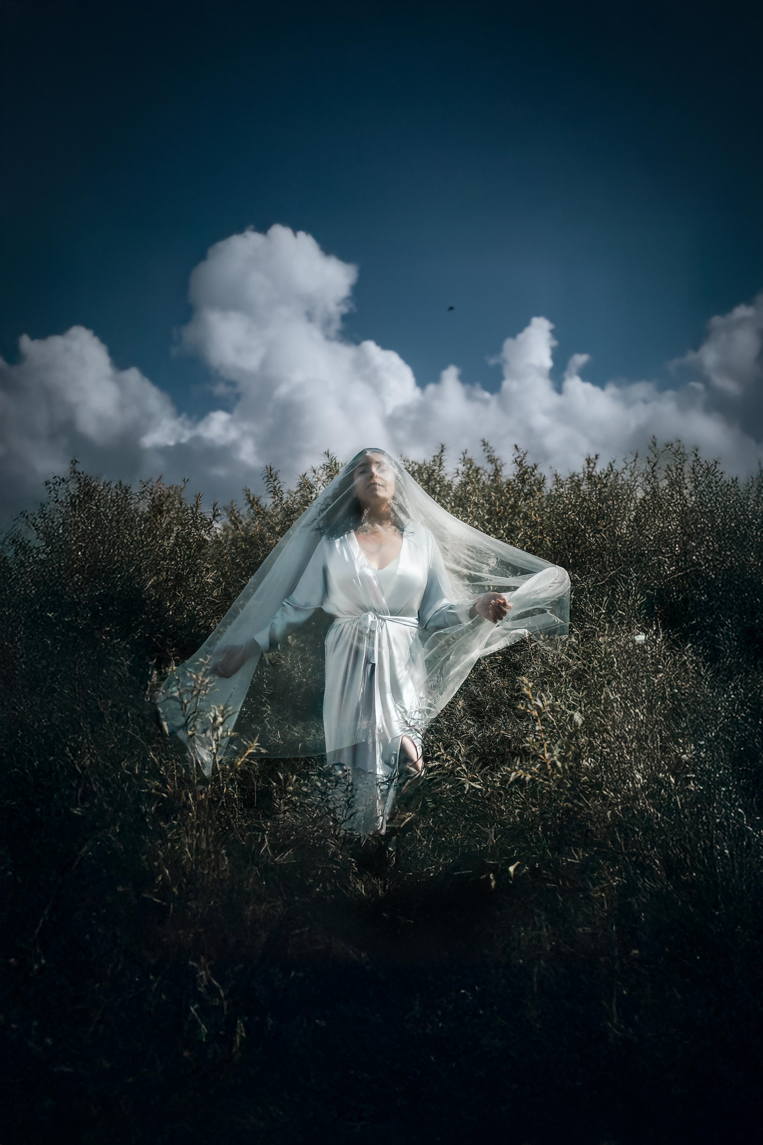 A woman in a white satin dress and veil standing in a field of bushes with a large dark sky and clouds behind her.
