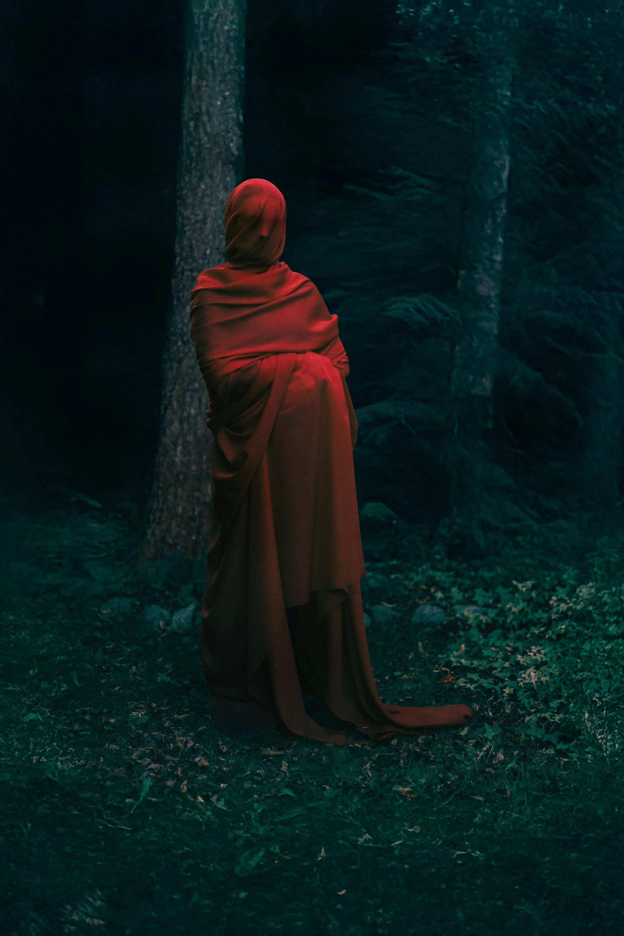 A person wrapped in a red blanket standing in a dark forest with trees and fallen leaves on the ground.