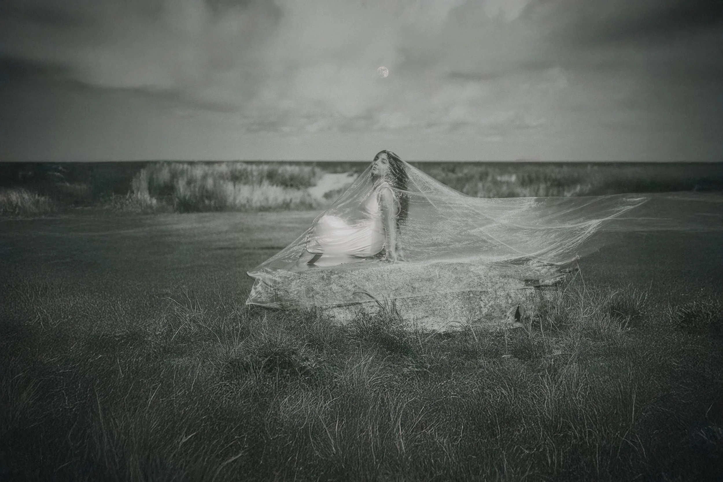A woman in a wedding dress sitting on a rock on a grassy field by the ocean, with a veil flowing behind her, under a cloudy sky with the moon visible.