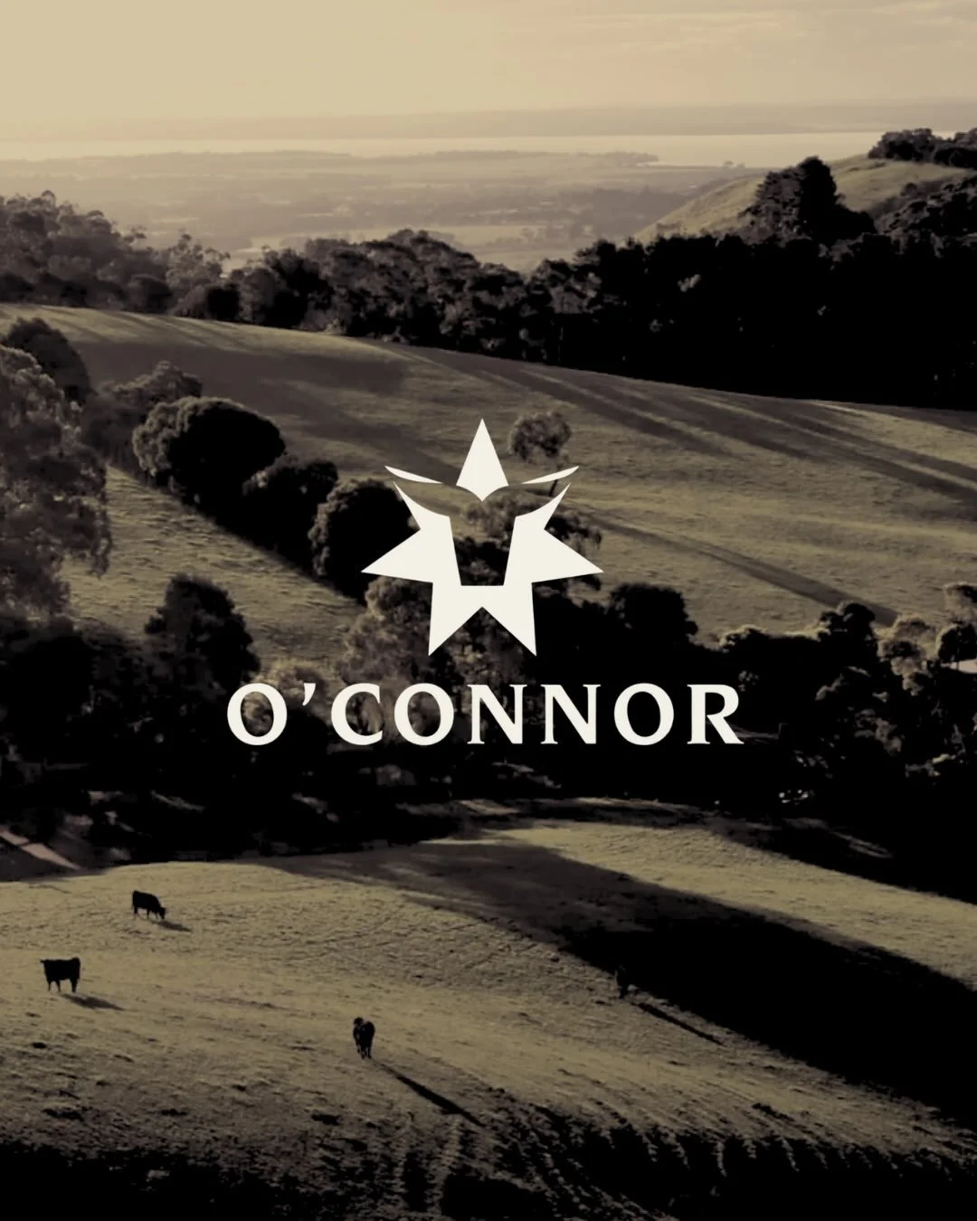 O&rsquo;Connor Beef. Gippsland, Victoria.

For generations, the O&rsquo;Connor family has been sourcing the finest quality beef from Gippsland and its surrounding regions, grazing on some of Australia&rsquo;s most prized pastures for producing premiu