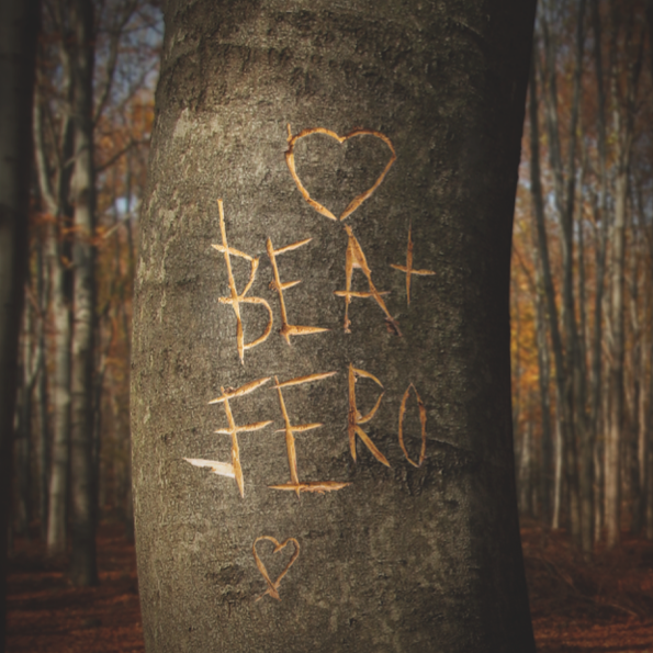 Tree signatures