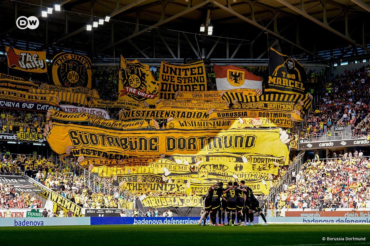 Away Trippers - Premium Package