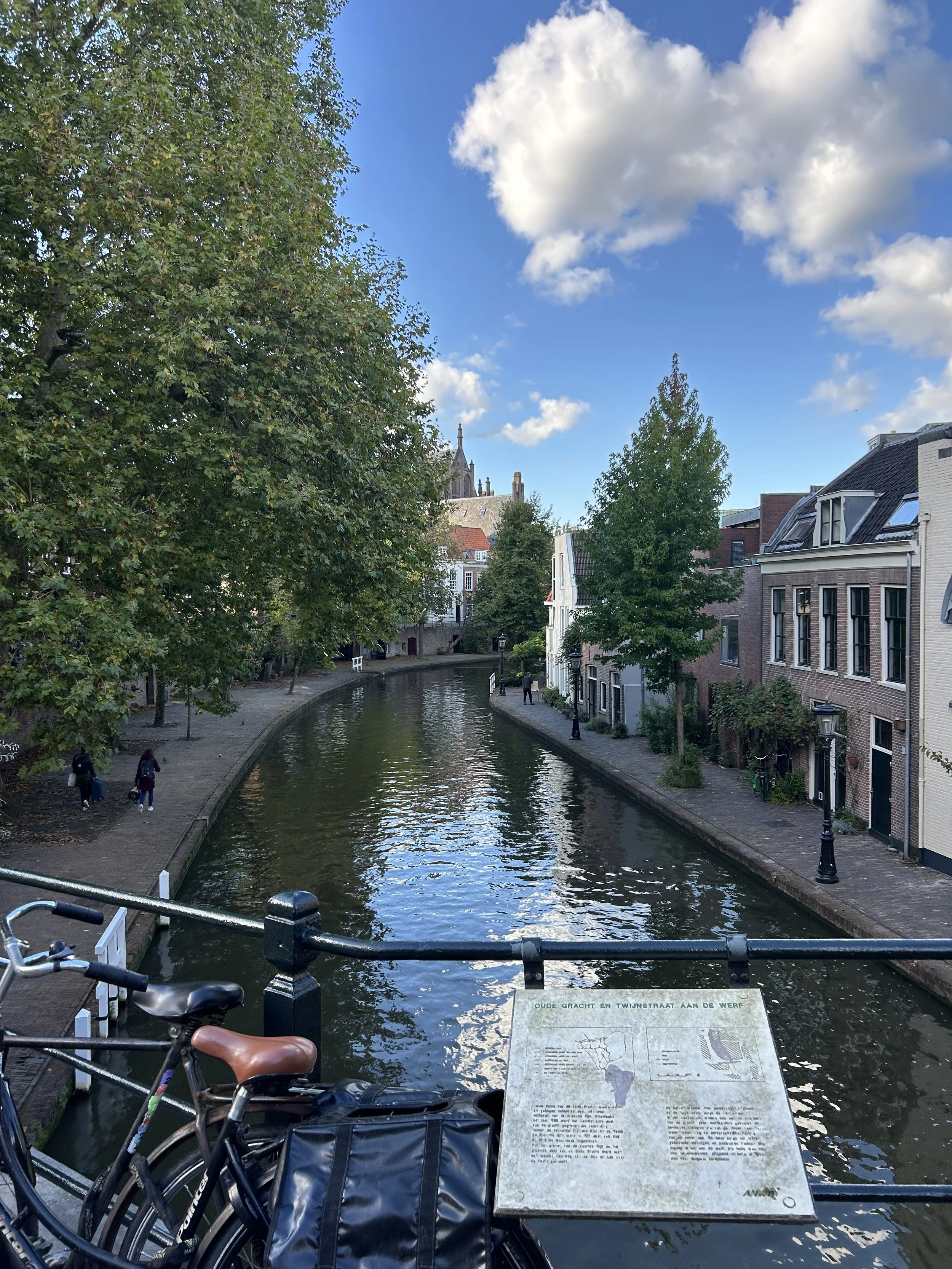 IMG_6986.jpeg