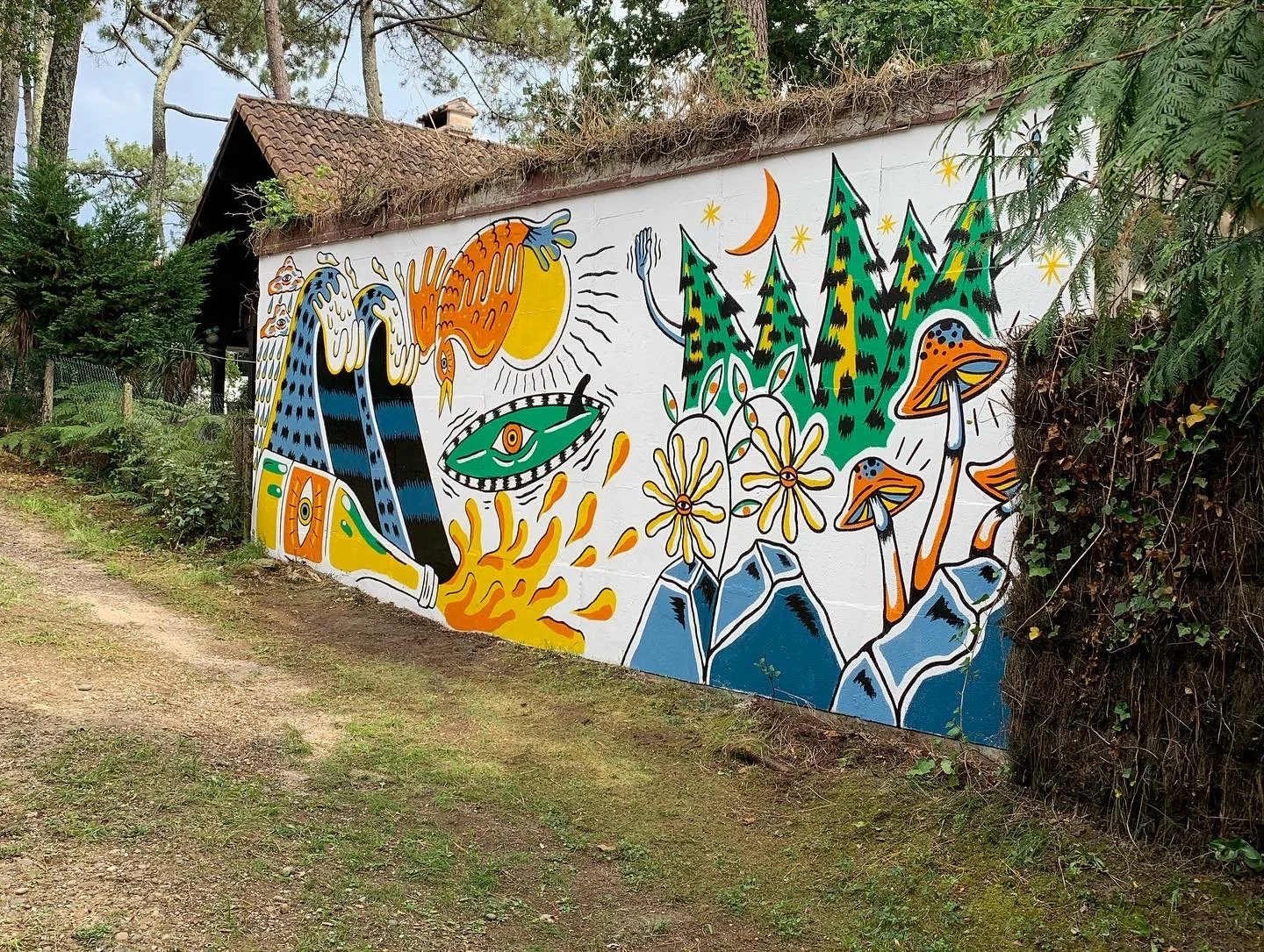 096B6B3C-2903-45EA-95B6-69E52288E667.JPG