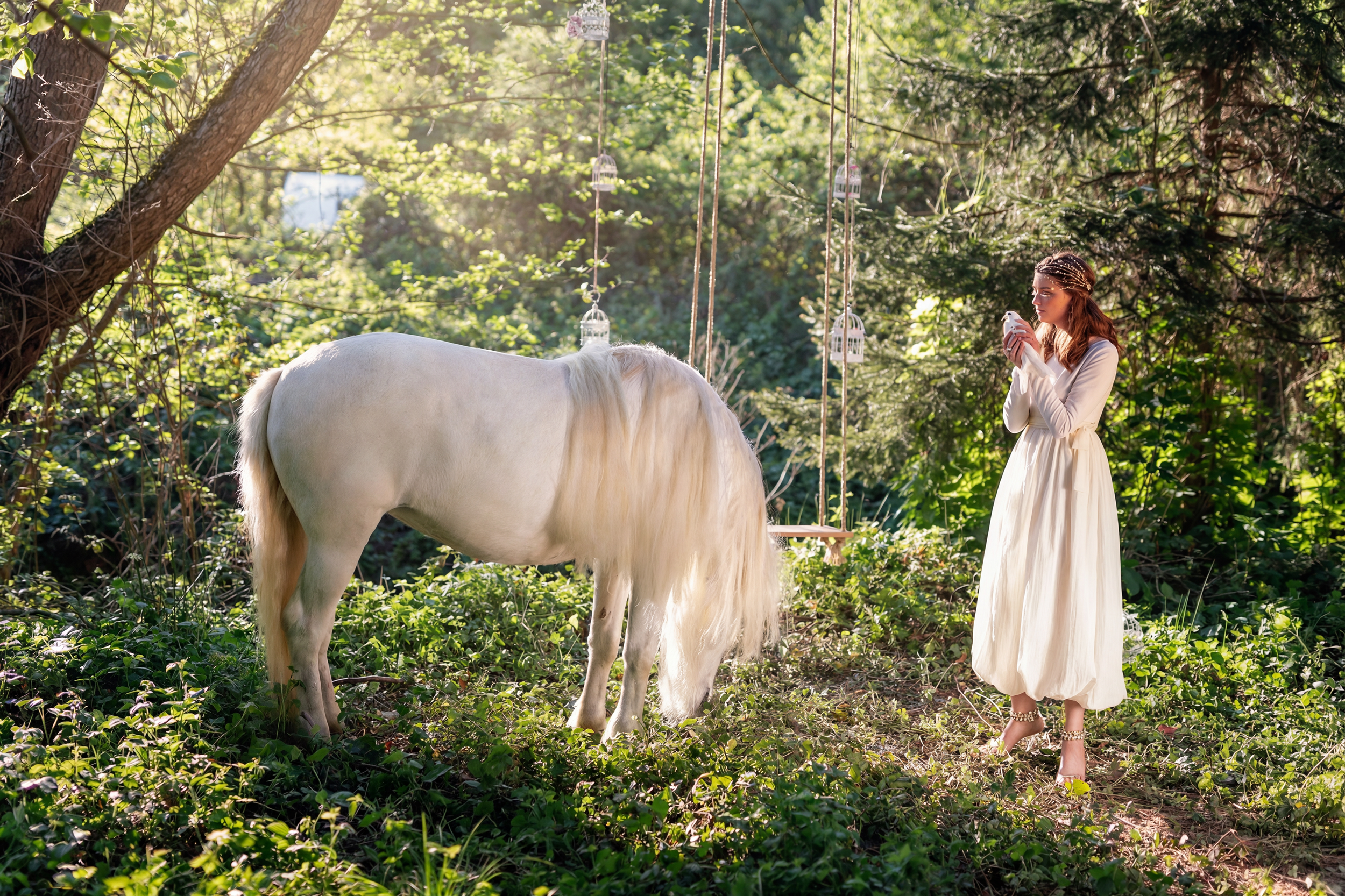 23.png