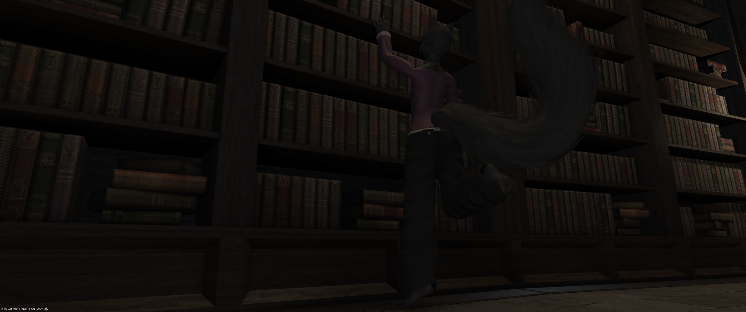 ffxiv_05242026_172843_612.png