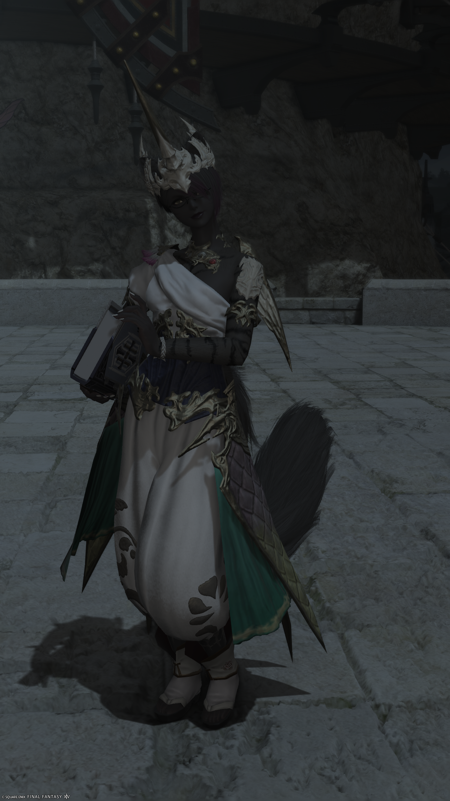 My first crack at modding. I found a nice furry skin and decided to embrace the furry once more.
