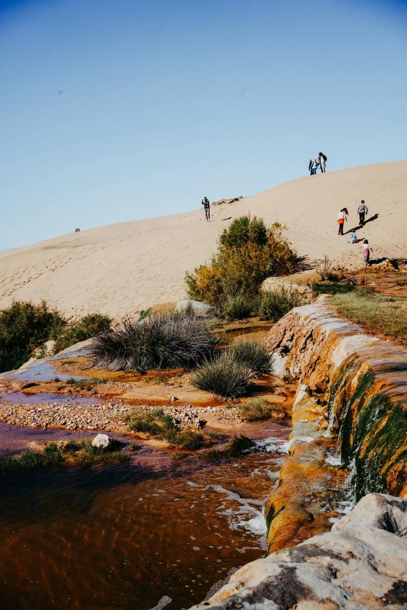 People walking in a desert landscape with sand dunes, sparse vegetation, and a small waterfall or stream in the foreground.
