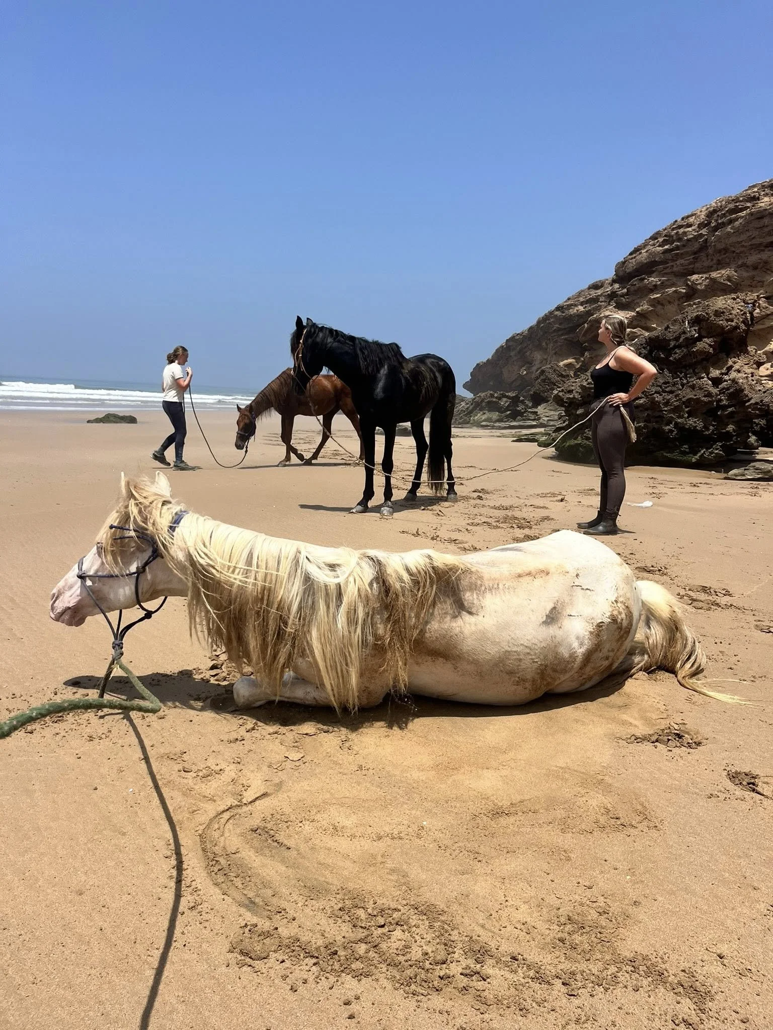 A beach scene with two women and three horses, one lying on the sand, and rocky cliffs in the background.