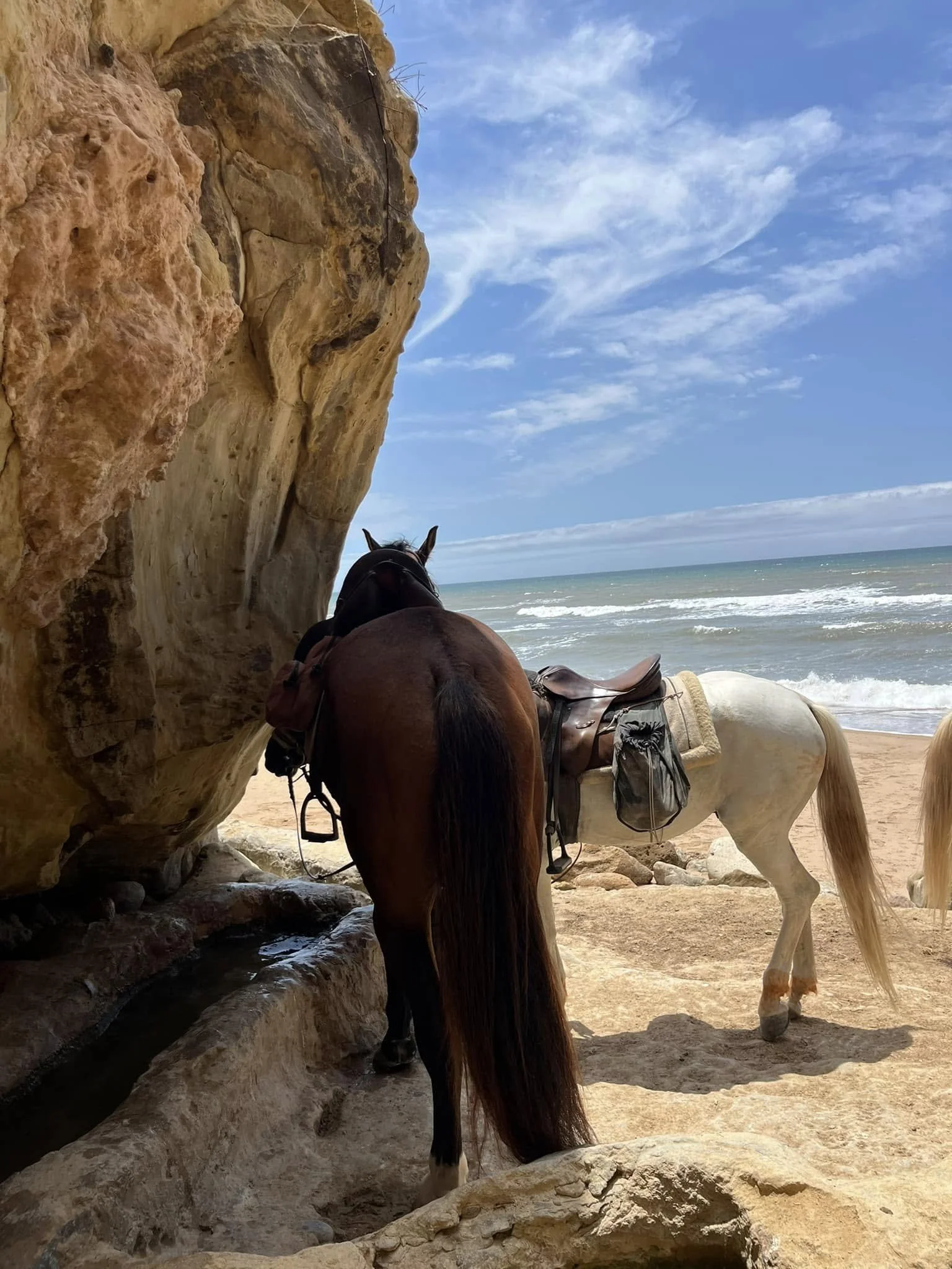 Two horses, one brown and one white, standing under a large rocky overhang on a sandy beach near the ocean, with blue sky and ocean in the background.