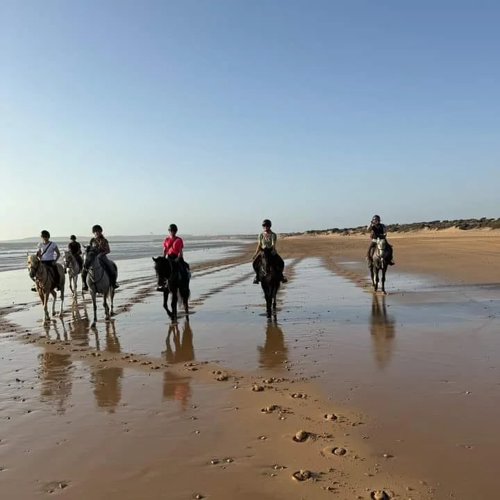 Group of six people riding horses on a sandy beach under a clear blue sky.