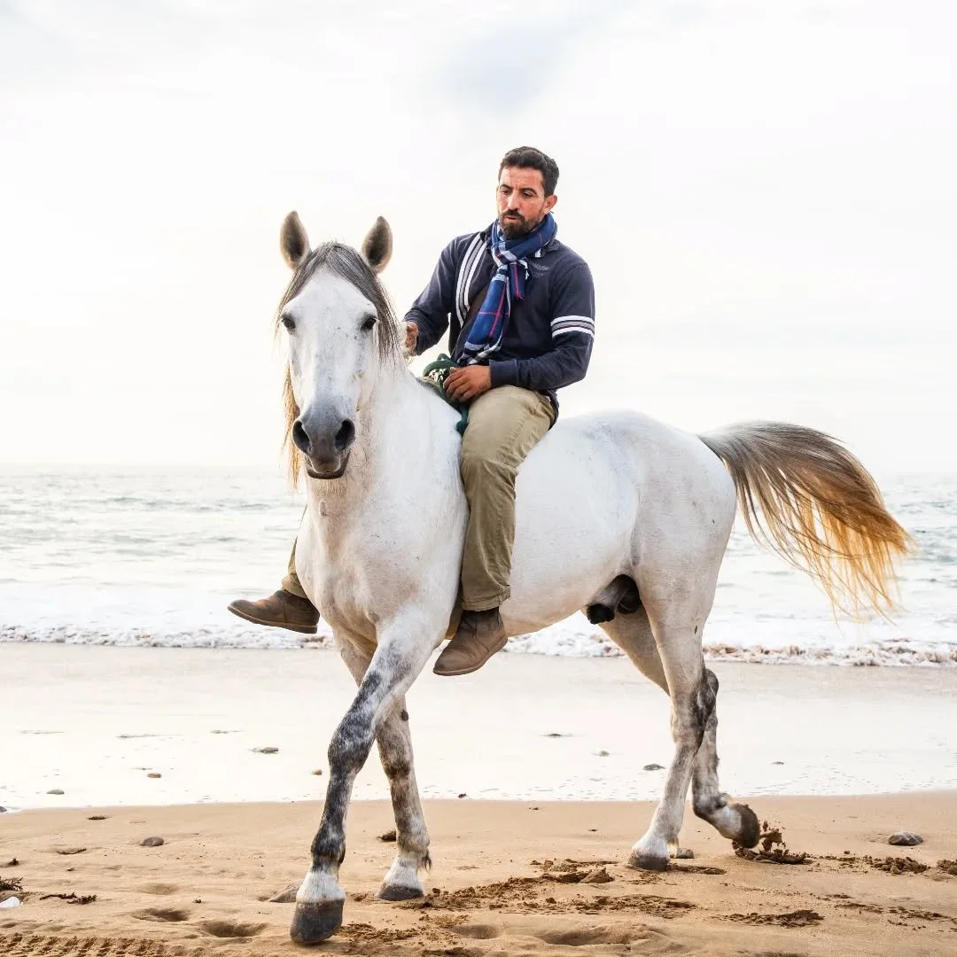 A man riding a white horse on a beach.