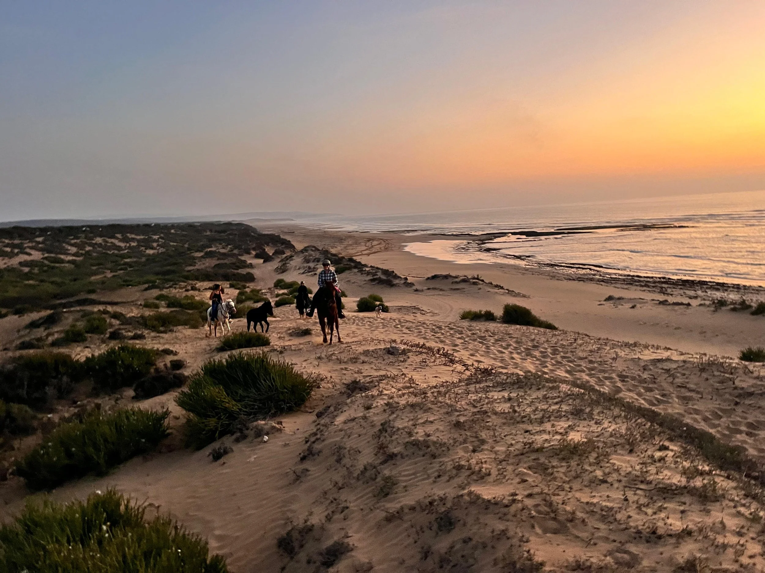 Sunset on a sandy beach with dunes, green bushes, and people horseback riding along the shoreline.