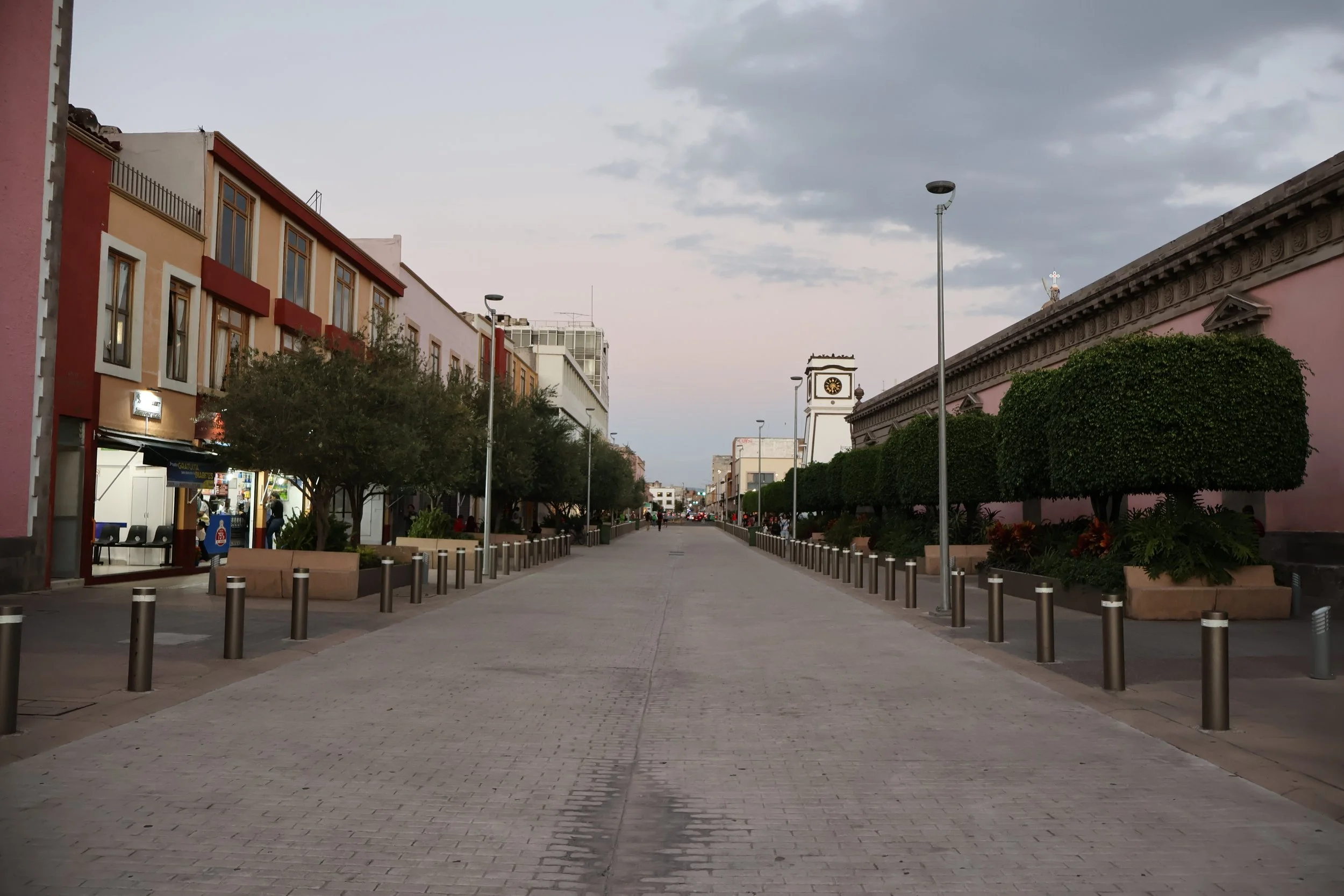 Punto de intervención Andador Sor Juana Inés de la Cruz, zona centro.