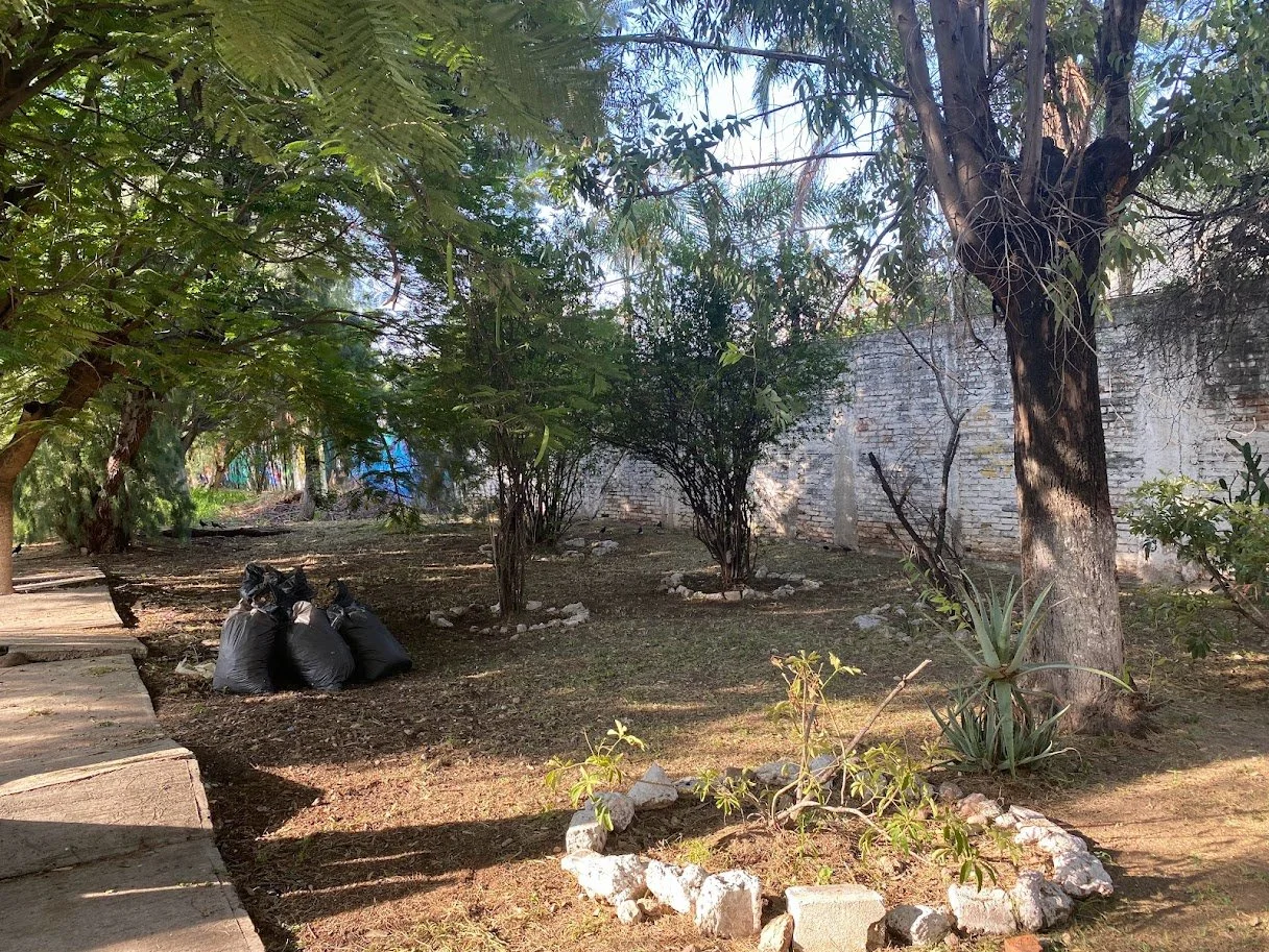 Jardín Comestible + Cartografía social. Irapuato, Gto.
