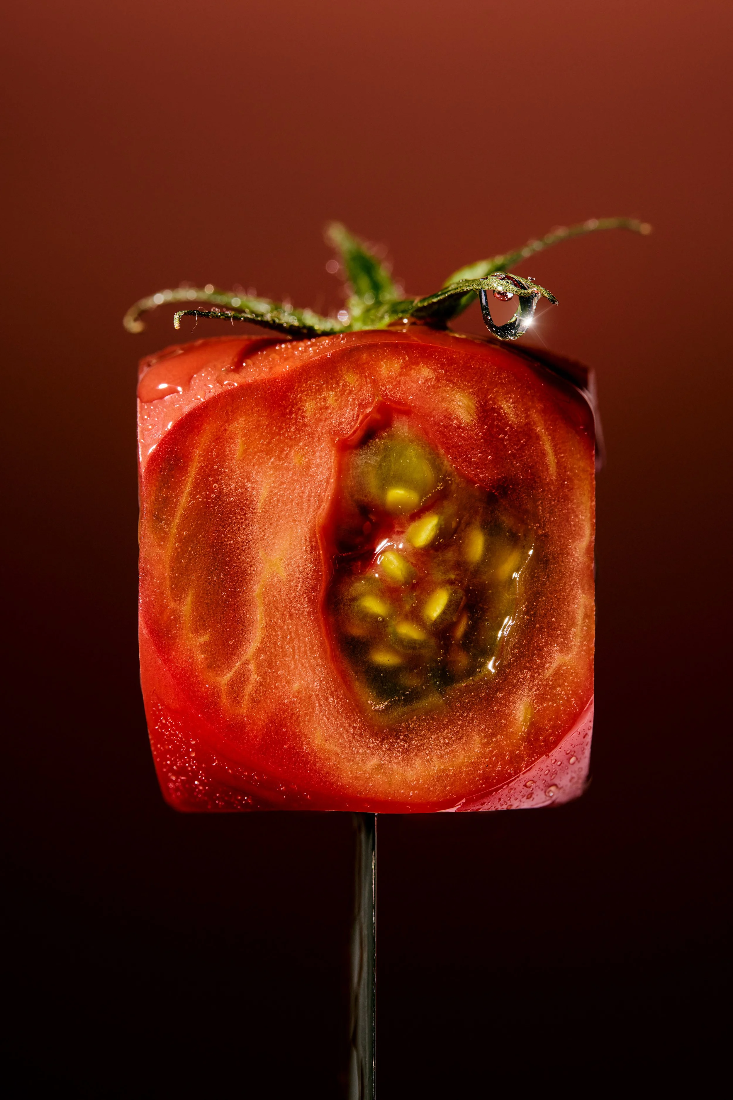 Close-up of a halved ripe red tomato with a droplet of water on a leaf and a thin metal stick supporting it, against a dark background.