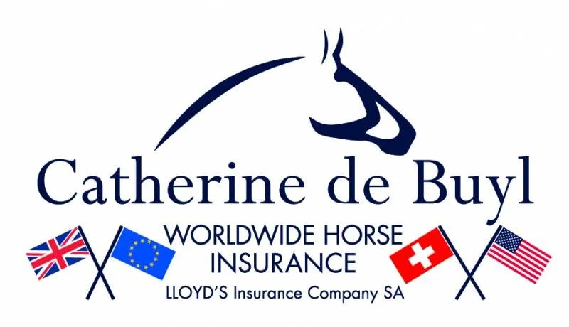 de Buyl insurance.jpg