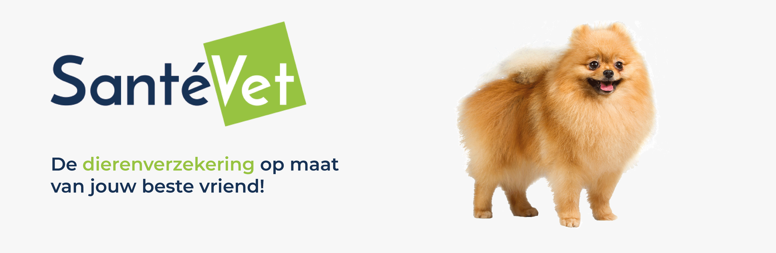 SanteVet Banner_Tekengebied 1.png