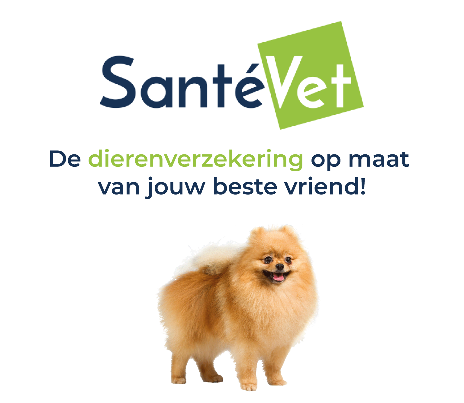 SanteVet mobile-03.png