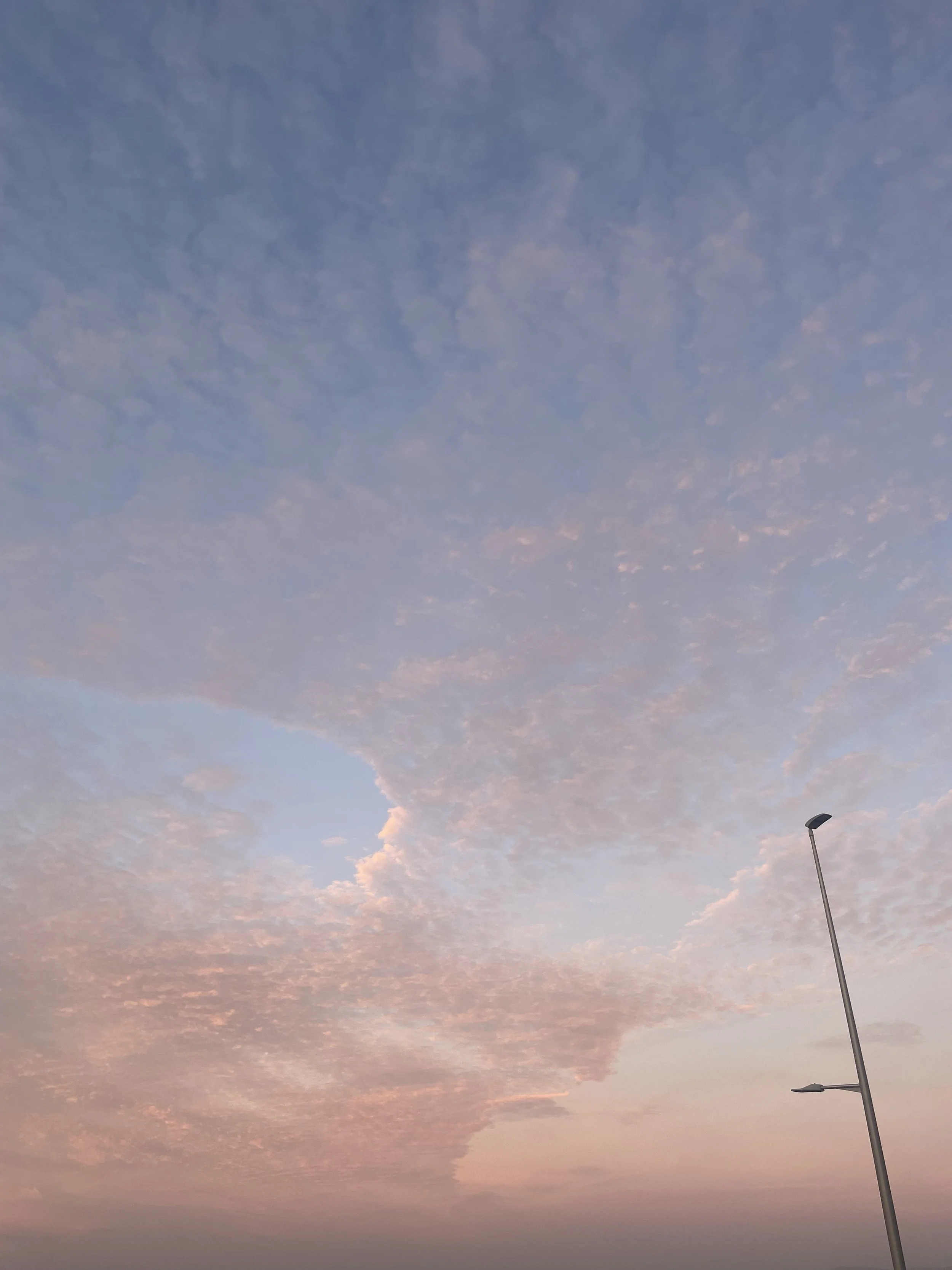 IMG_7811.jpeg