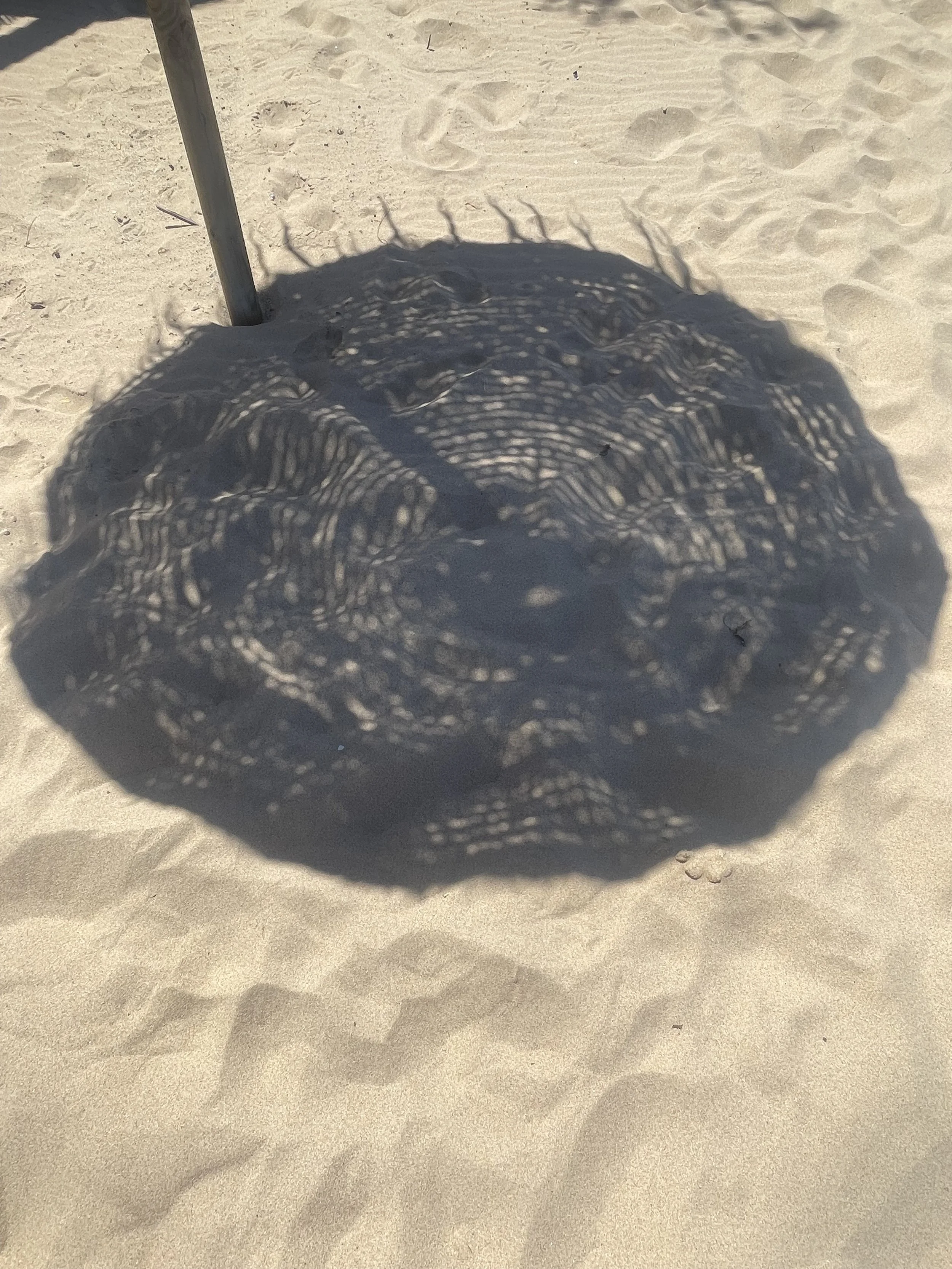 IMG_2072.jpeg