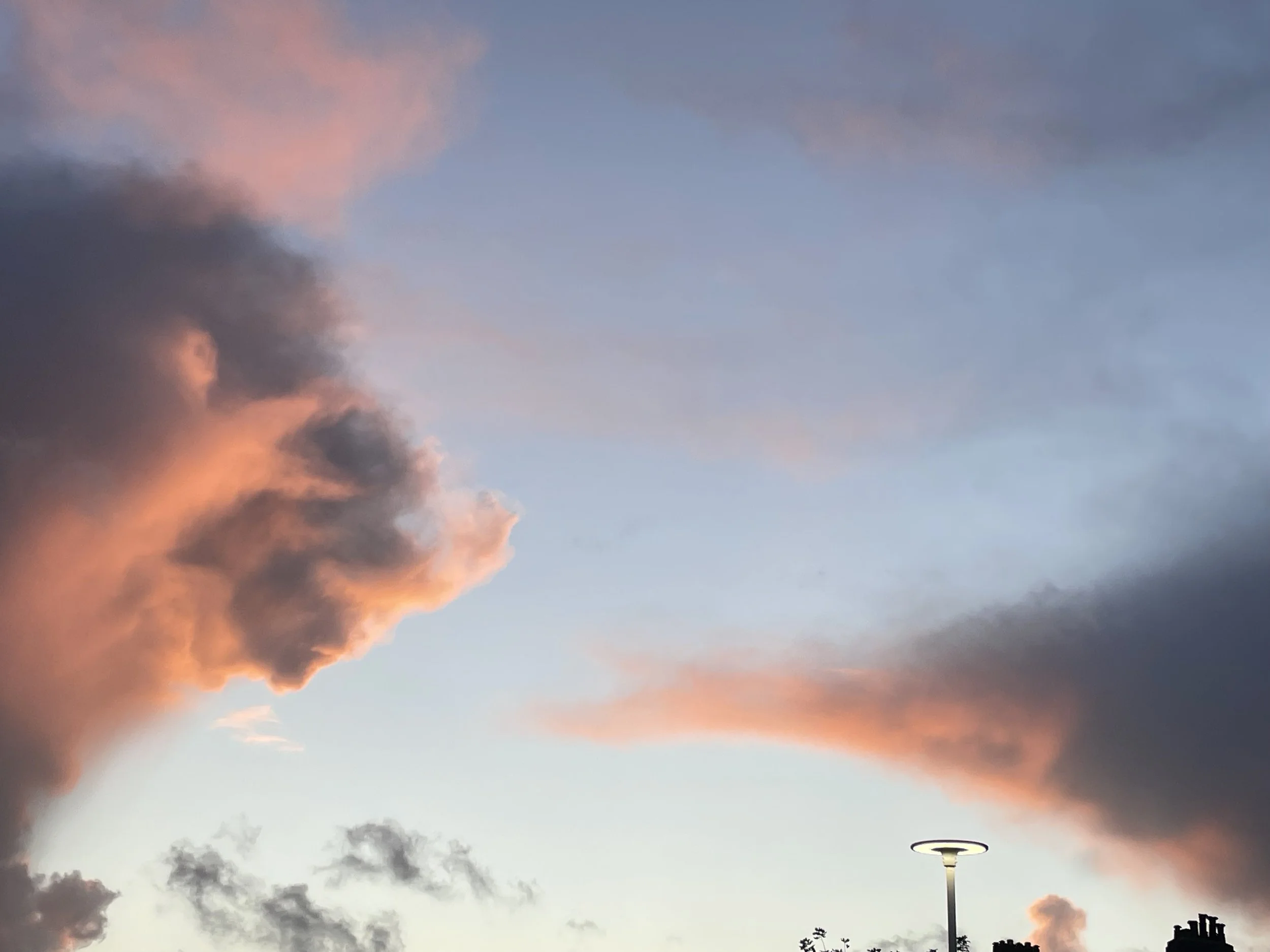 IMG_7222.jpeg