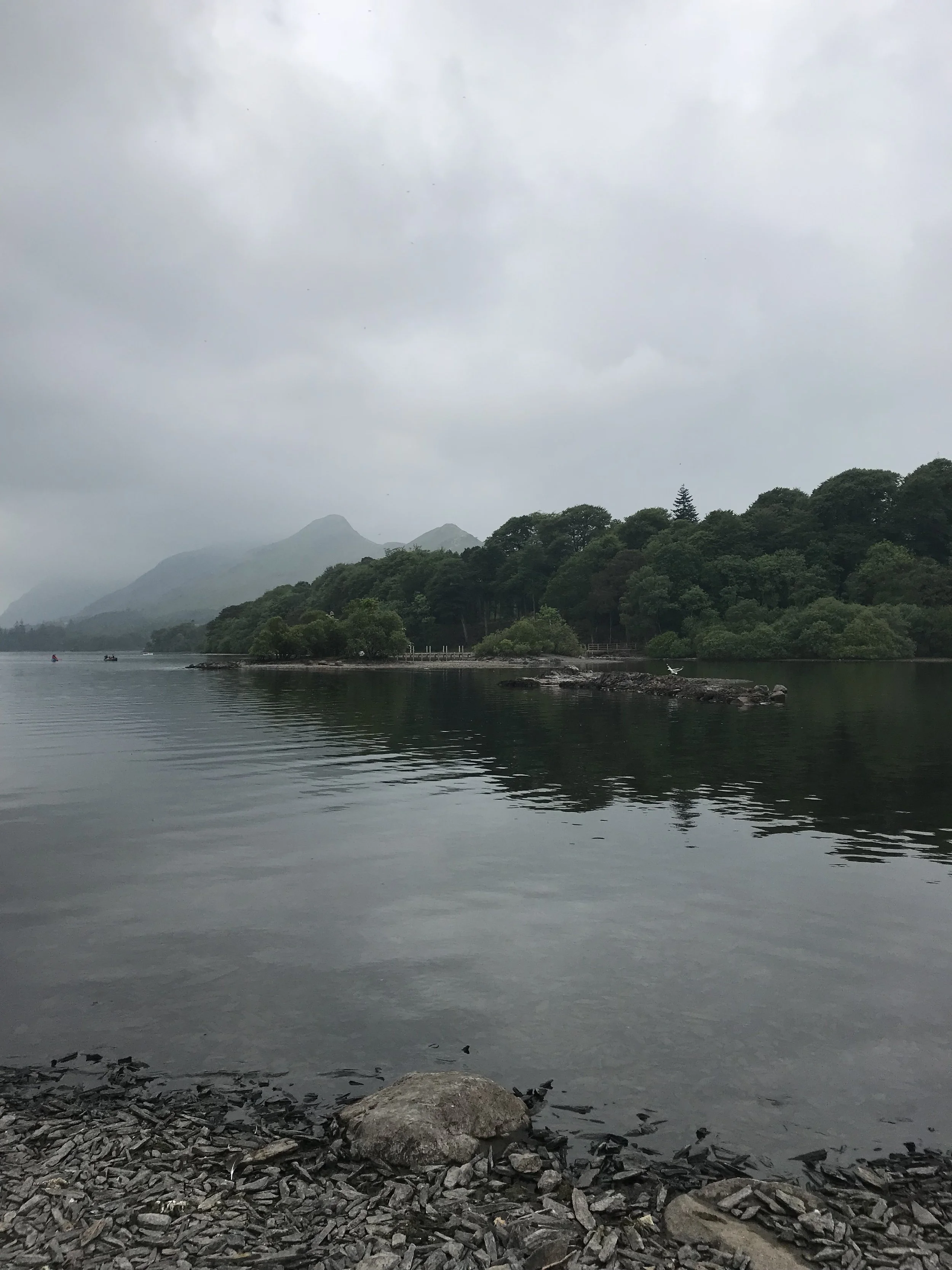IMG_6337.jpeg