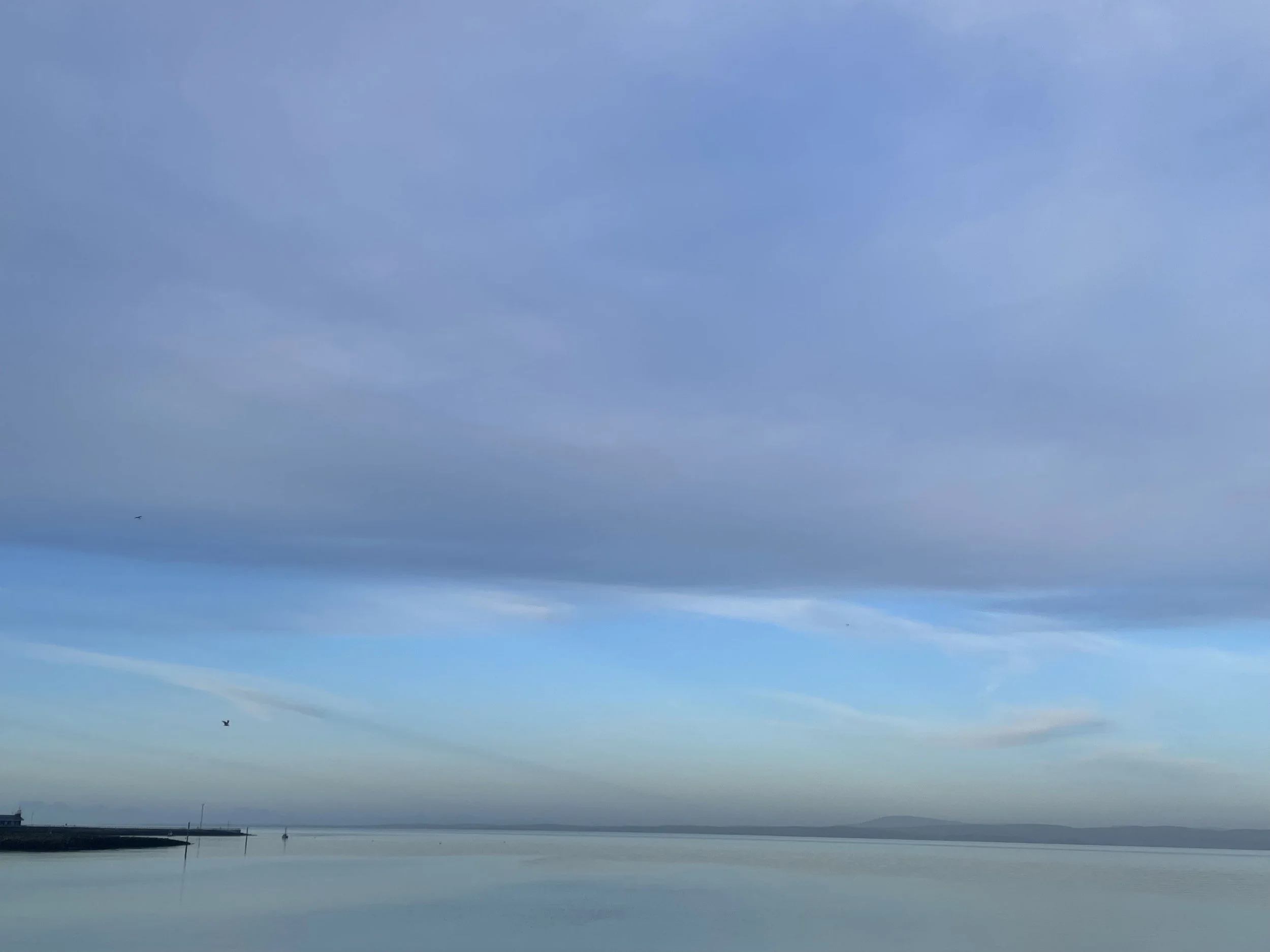IMG_3799.jpeg