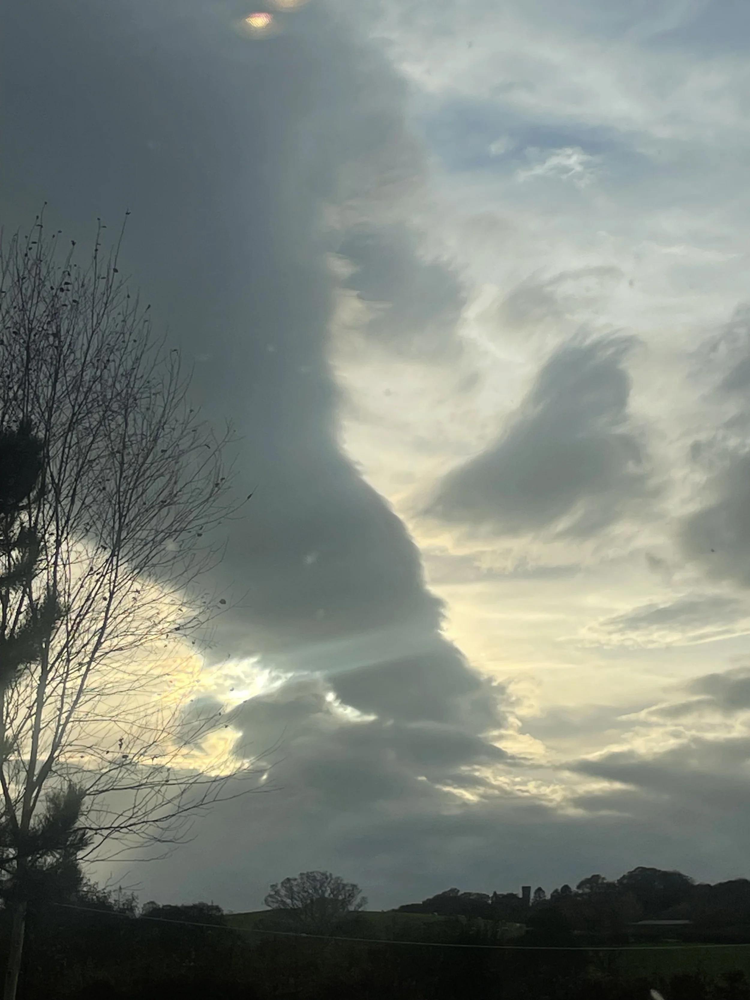 IMG_3201.jpeg