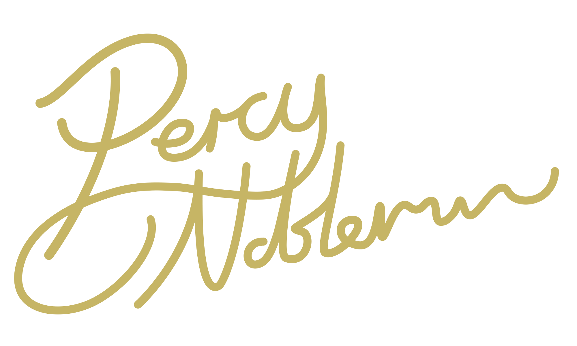 Gold-colored cursive text that says 'Percy Nobleman'