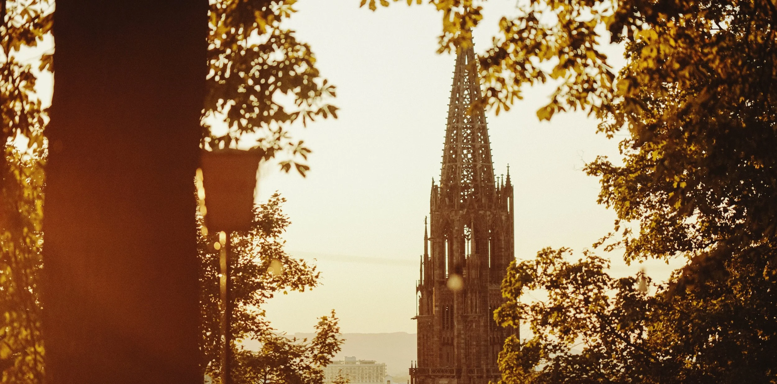 DSCF4014.jpg