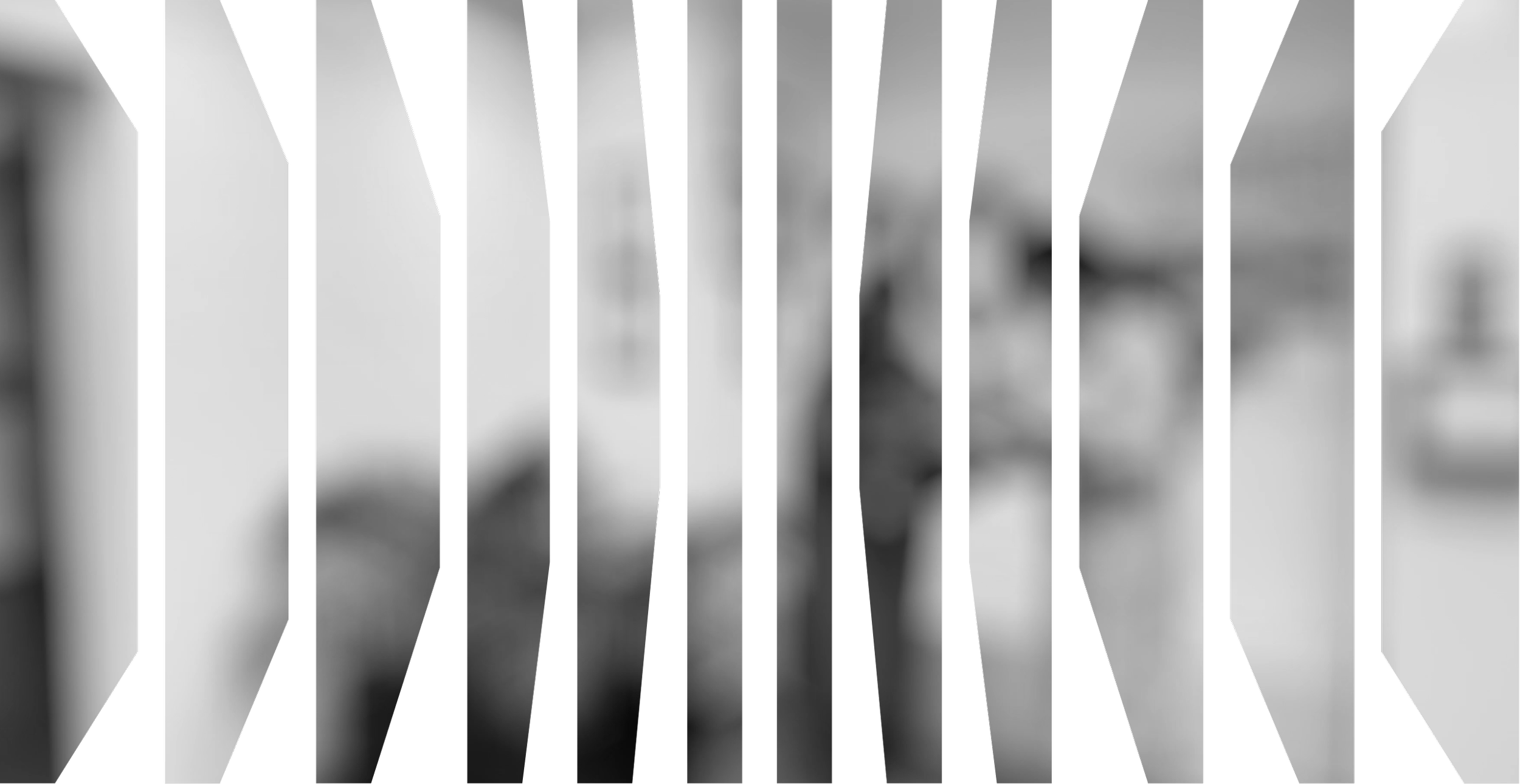 A blurred indoor hallway behind black-and-white striped bars.