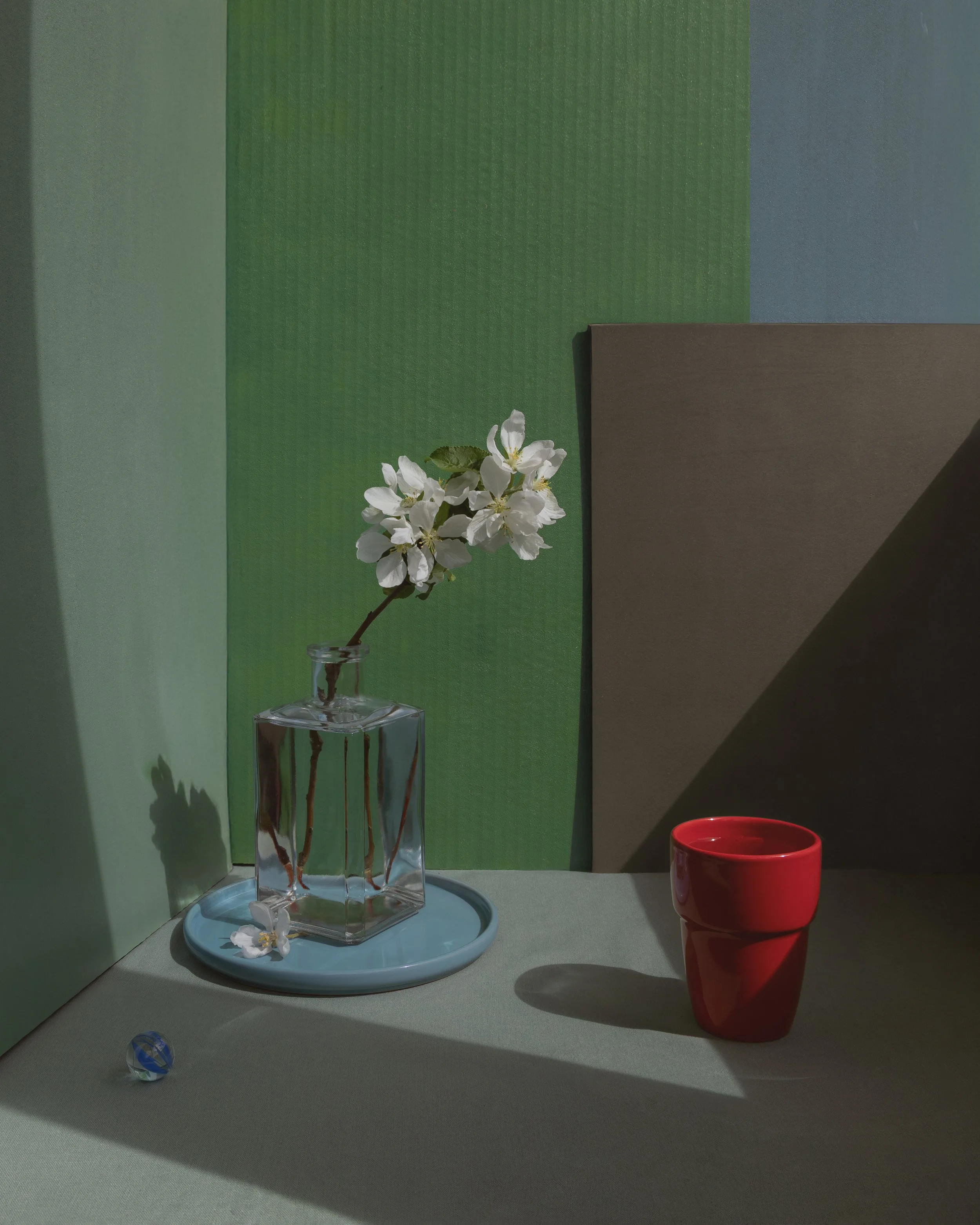 Compositions of objects and flowers
