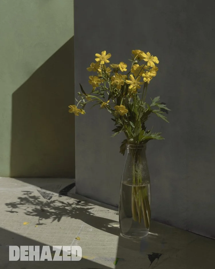 A glass vase with yellow flowers on a light gray surface against a gray wall with a green section to the left. The flowers and vase cast shadows on the surface.
