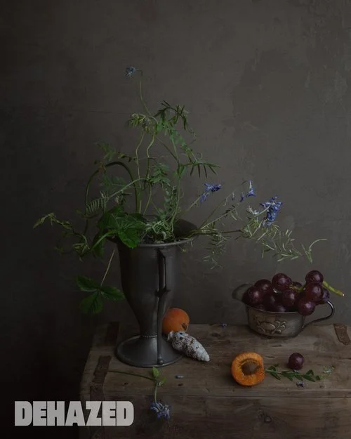 A still life composition with a tall black vase containing green leafy stems and blue flowers, a bowl of red grapes, a partially opened apricot, and a small white rock on a rustic wooden surface against a gray background.