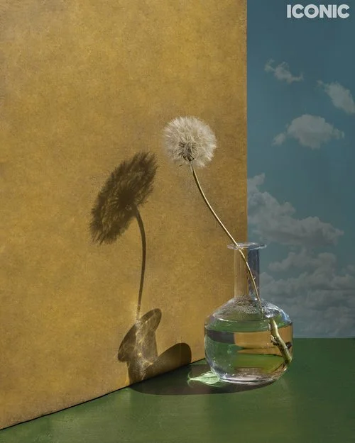 A glass vase with a dandelion flower and stem, casting a shadow on a yellow background, with a sky and clouds design on the right side where the word 'ICONIC' is written.