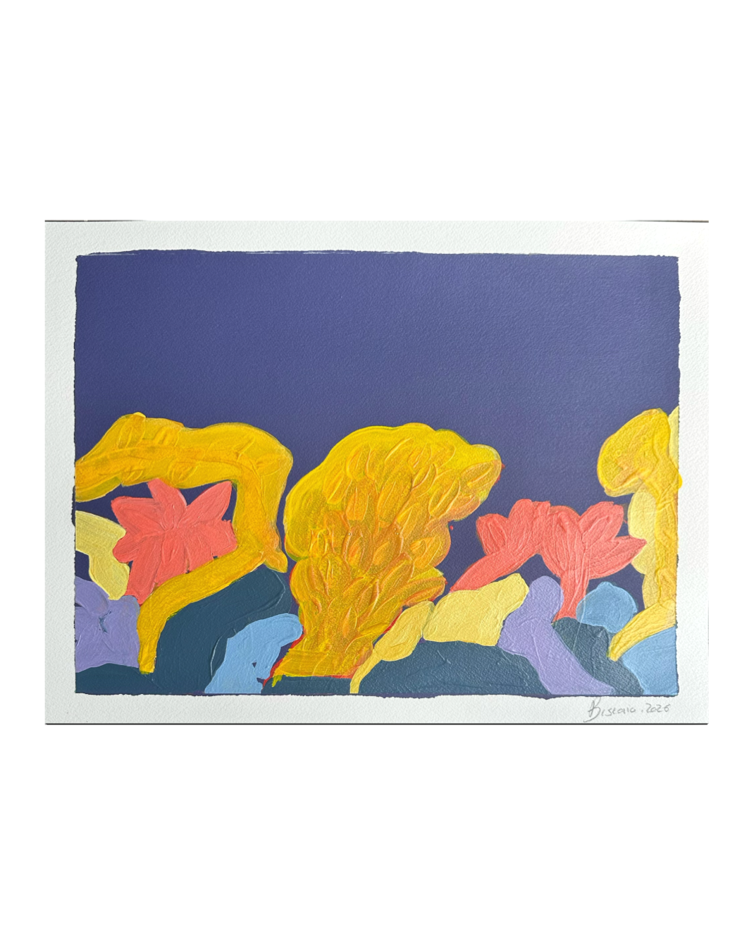 Profusion II