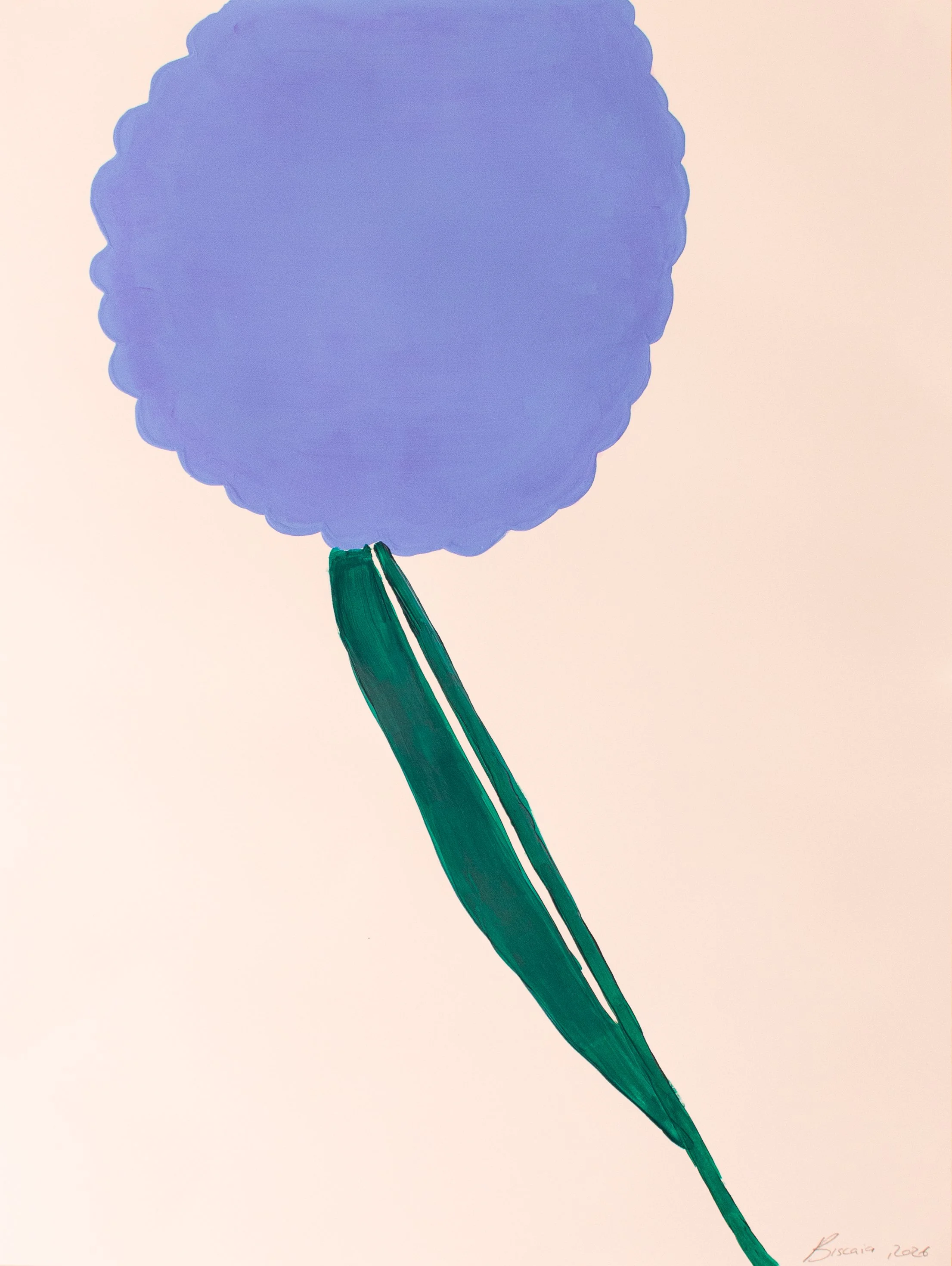 agapanthus