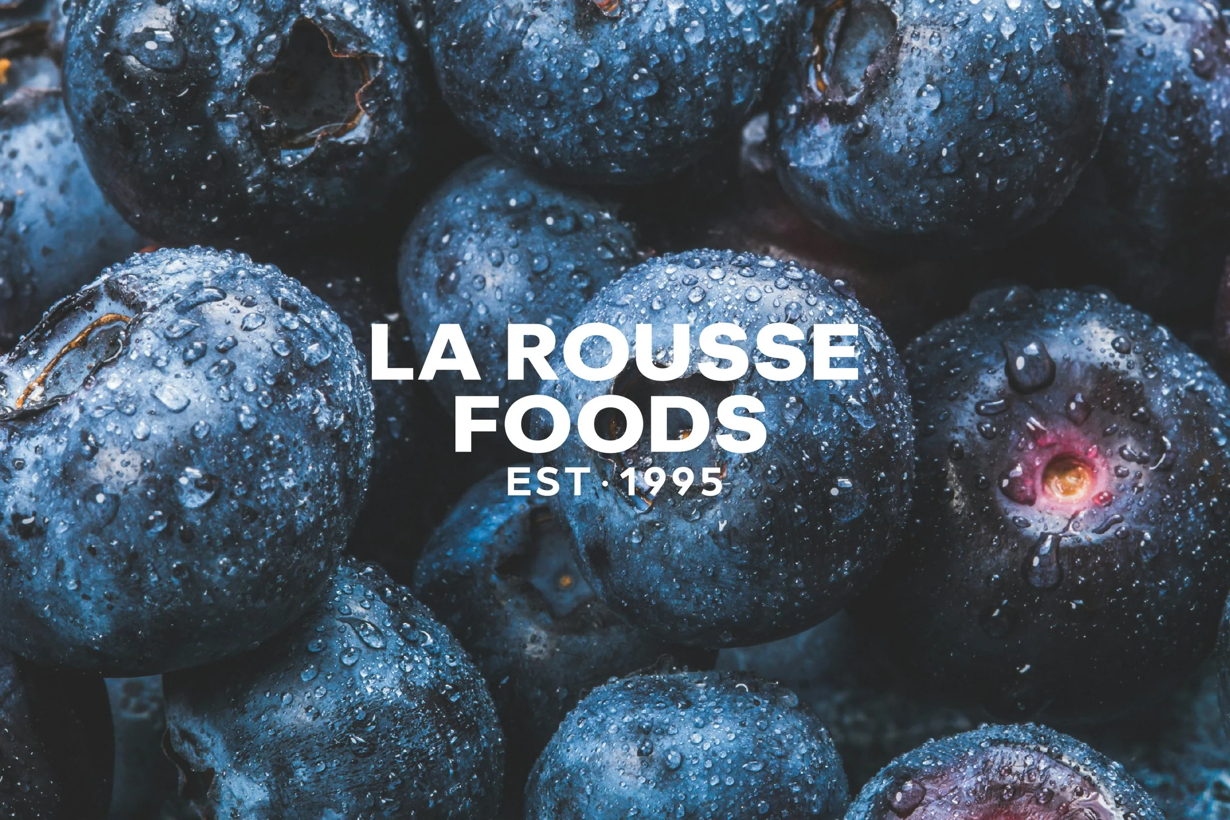 FourthLR_Header_Big_04_1200x800.jpg.jpeg