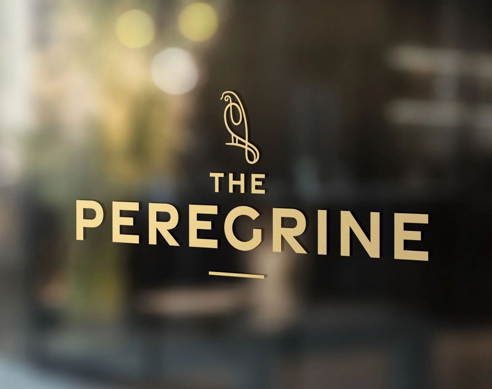 Peregrine-Largest-01.4.jpg.jpeg