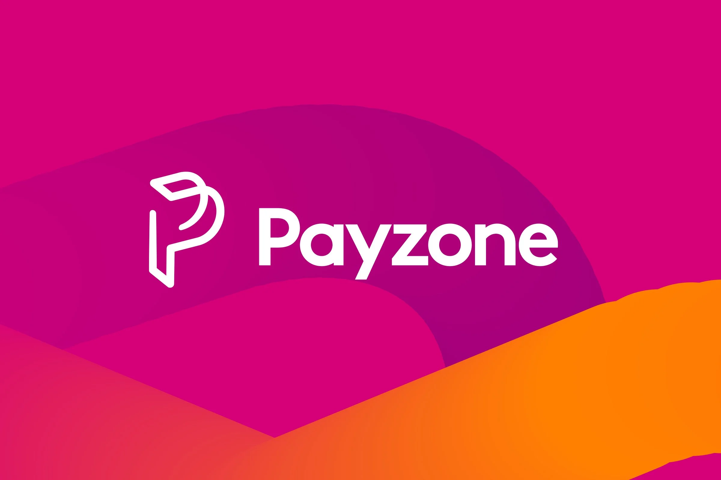 Payzone-Patterns-03.jpg.jpeg