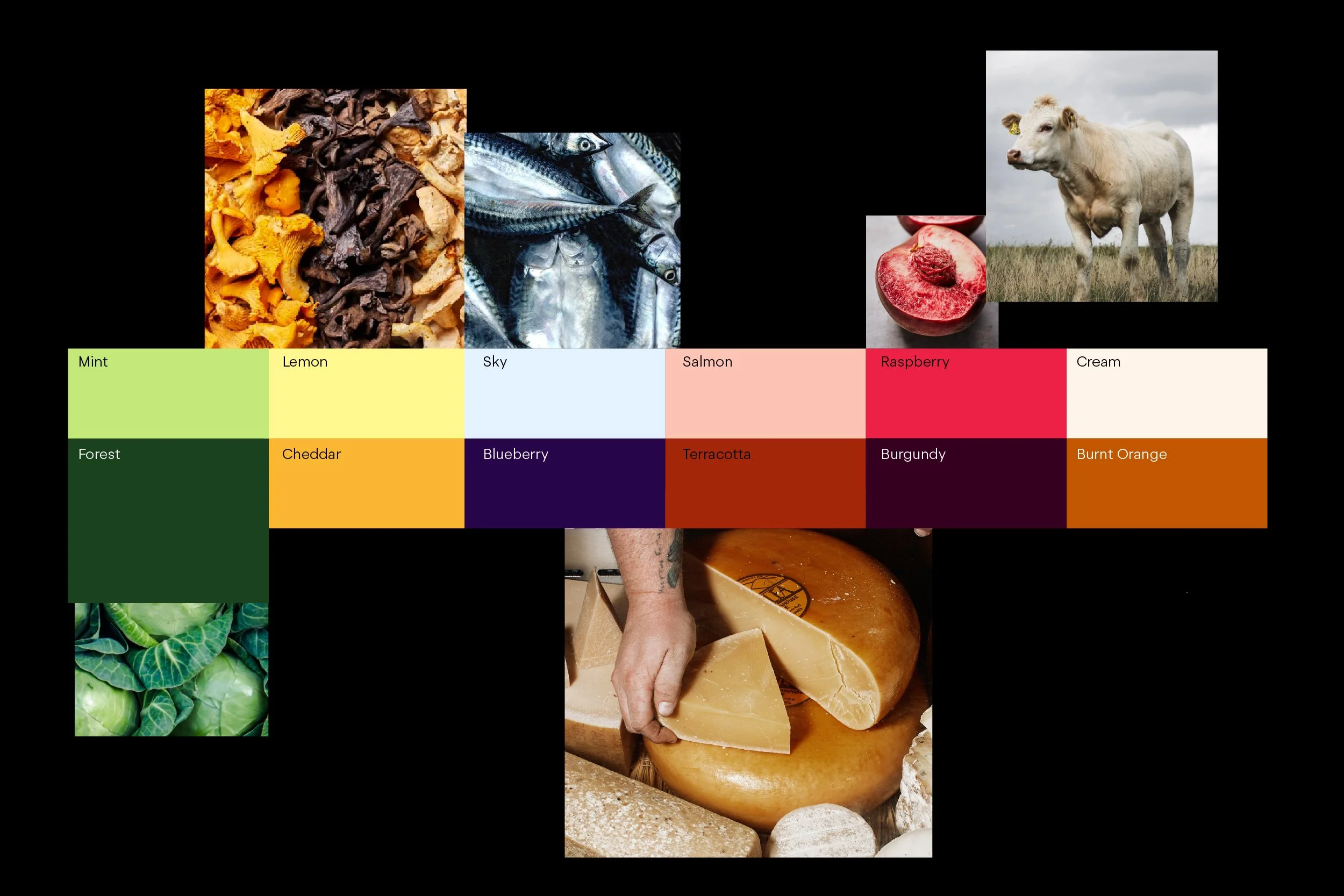 LR_Header_Big_02_1200x800.jpg.jpeg