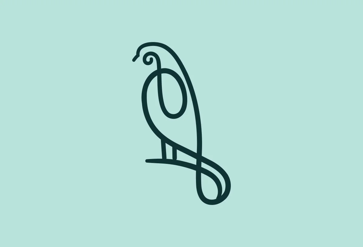 Peregrine-medium-01.1.jpg.jpeg